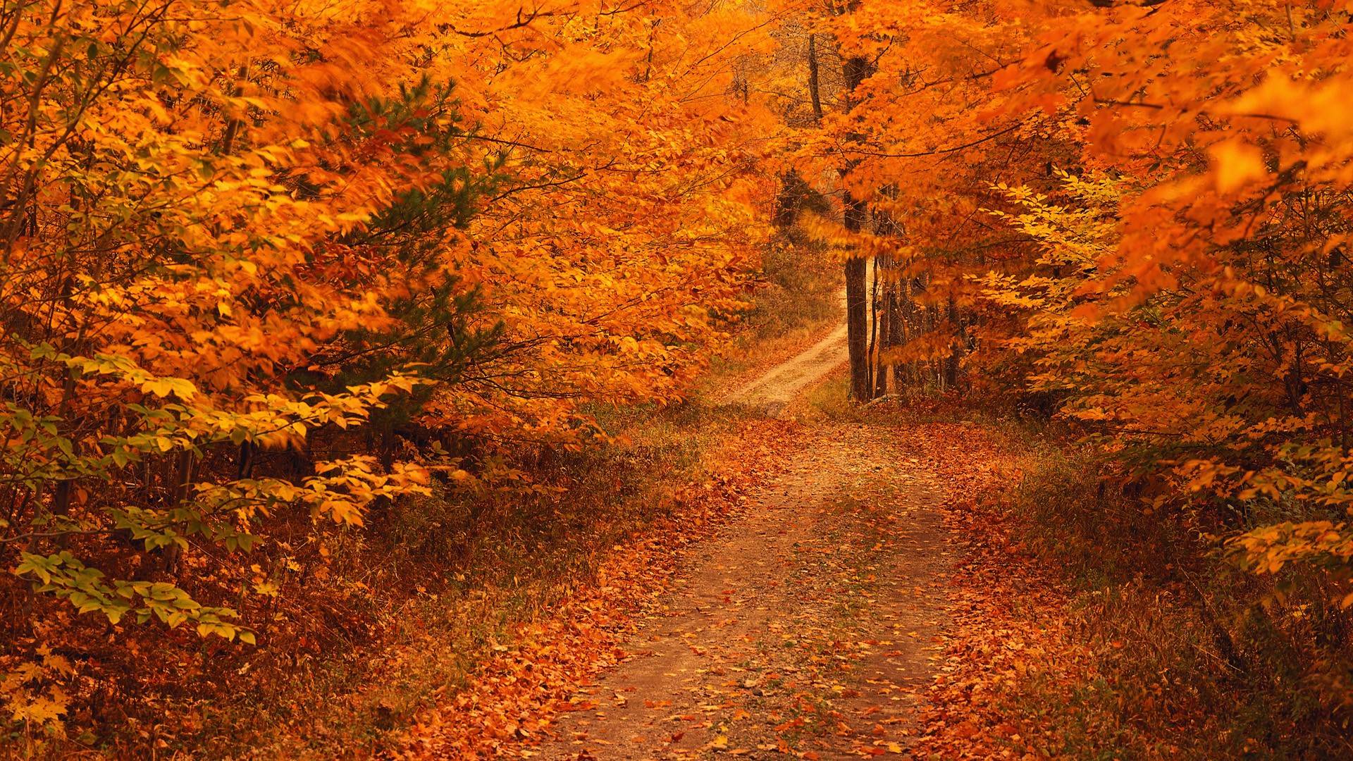 1920x1080 Fall Aesthetic Wallpaper