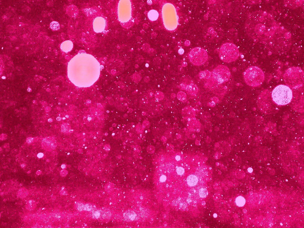 1280x960 Unique Pink Sparkle Wallpaper This Year