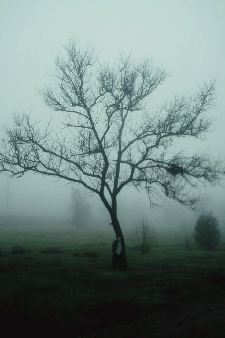 736x1104 Poison trees ideas. poison tree wallpaper iphone, poisen tree, black poison tree wallpaper