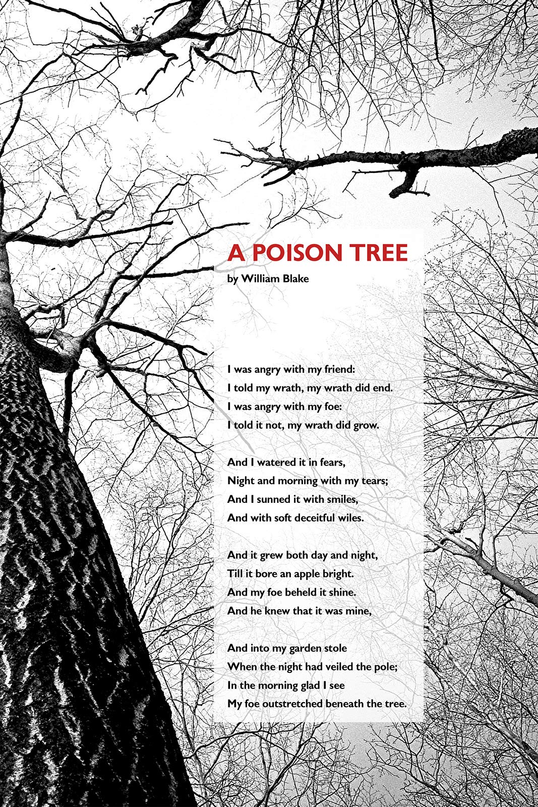 1067x1600 Textured Paper Blake Poem Print Poison Tree Background Photo Poster Gift: 12 x 8 Inches : Home & Kitchen