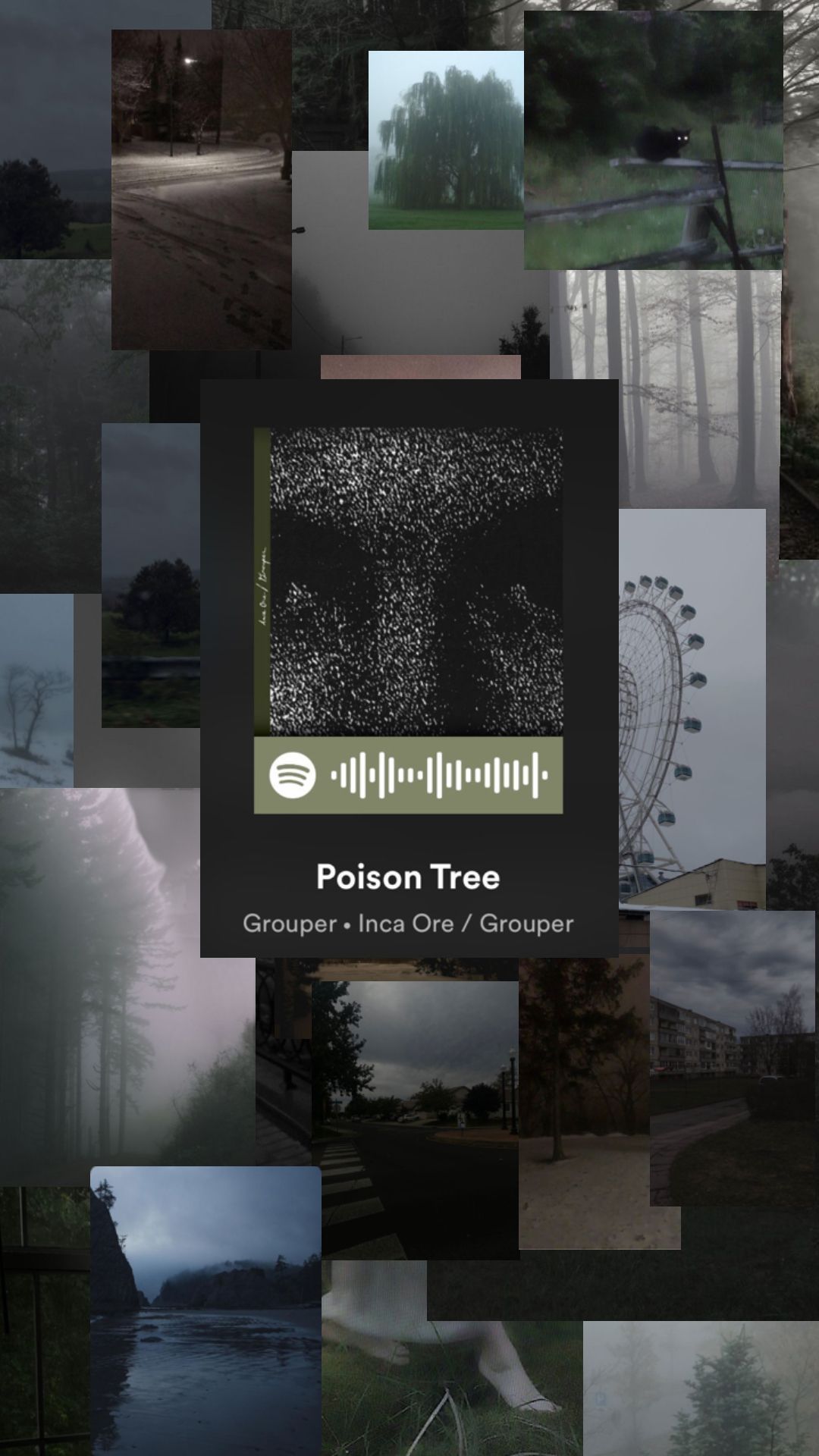 1080x1920 A Poison Tree Wallpaper