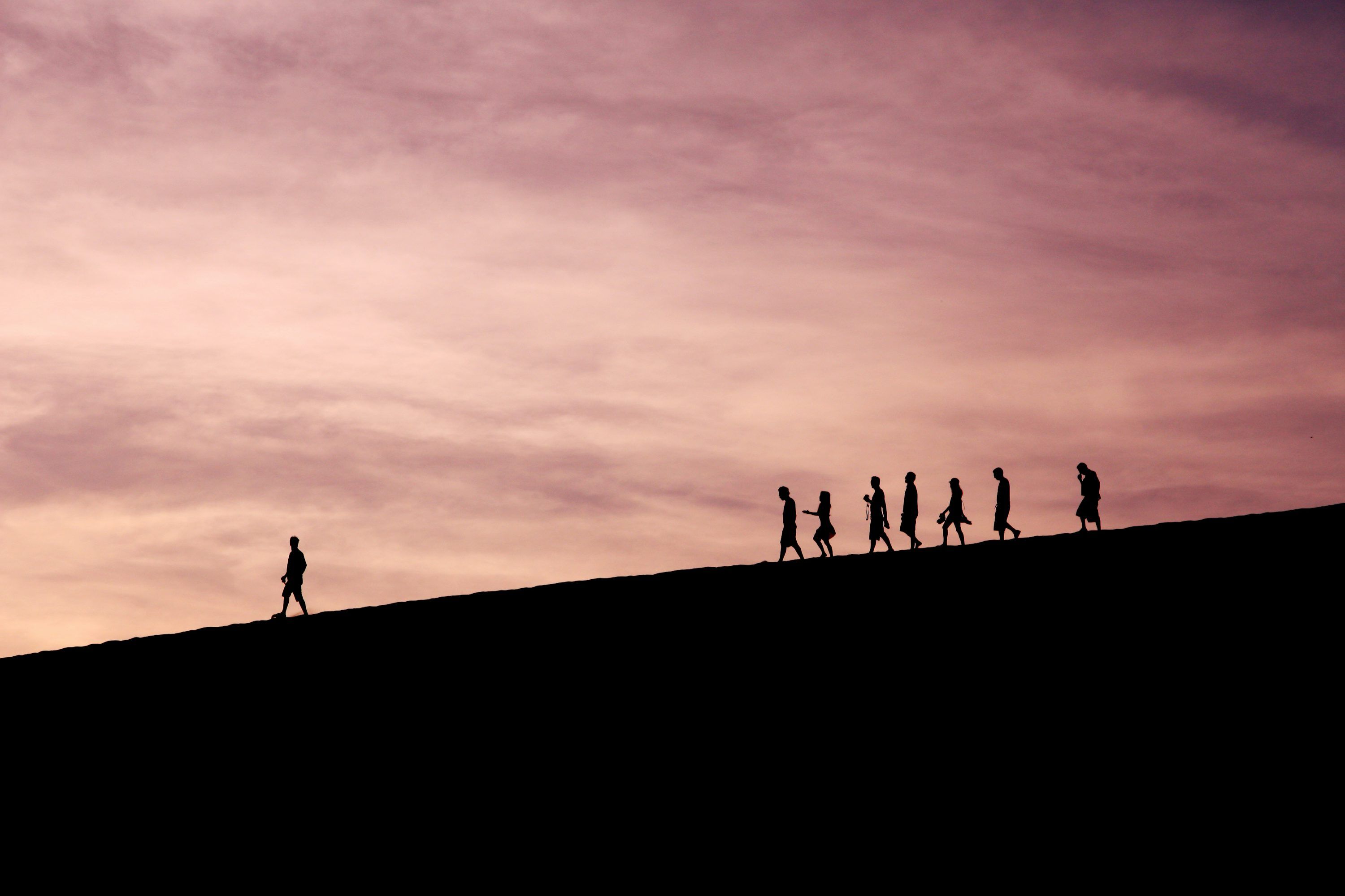 3000x2000 Follow The Leader Picture. Download Free Image