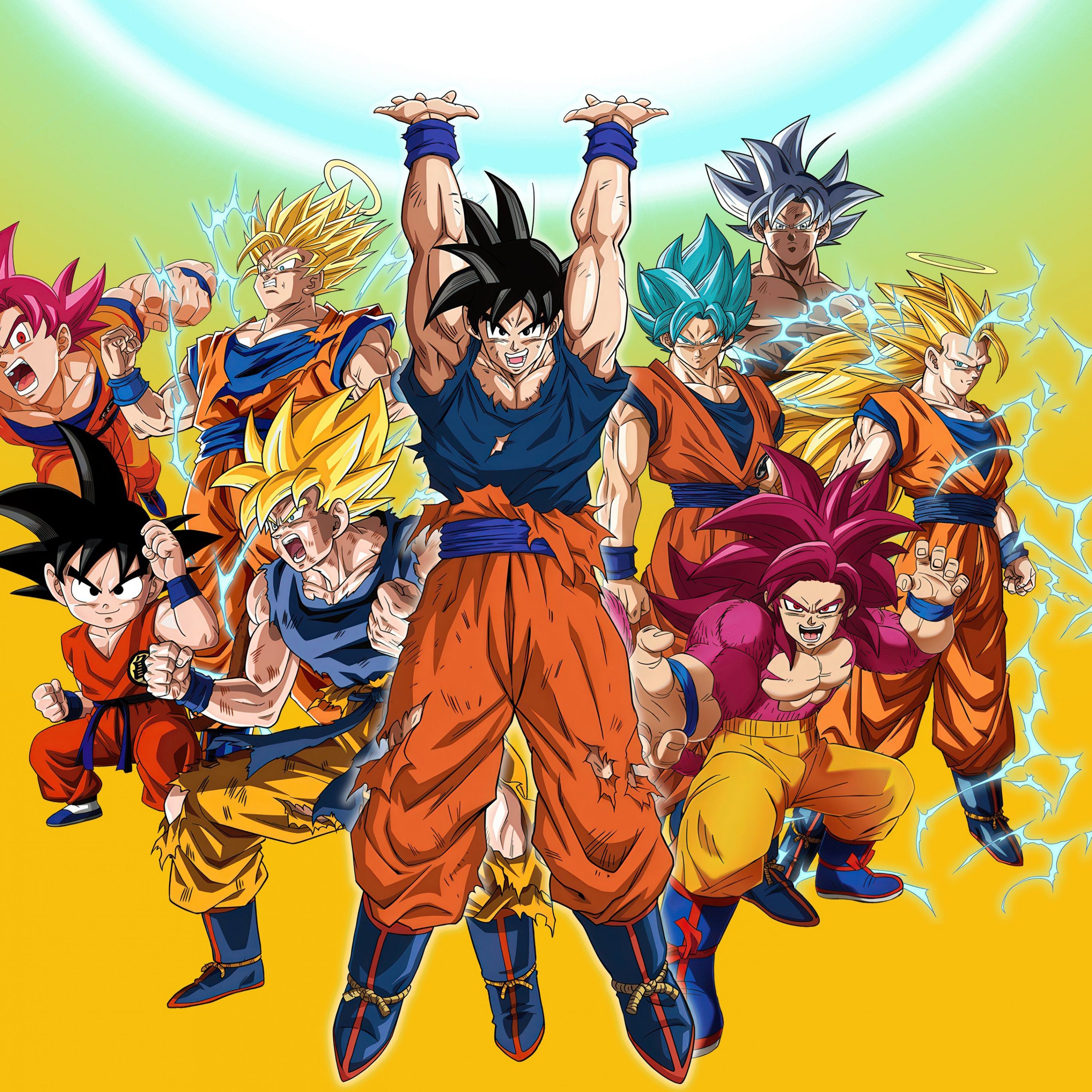2732x2732 Dragon Ball Super Wallpaper 4K, Anniversary Edition
