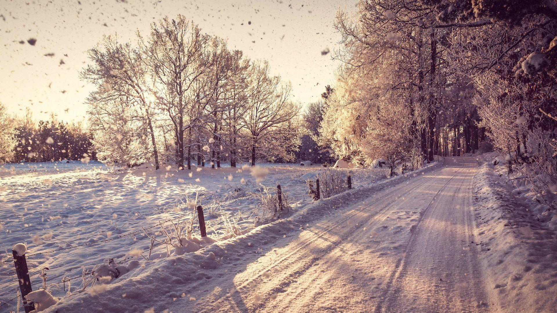 1920x1080 Winter Wallpaper For PC