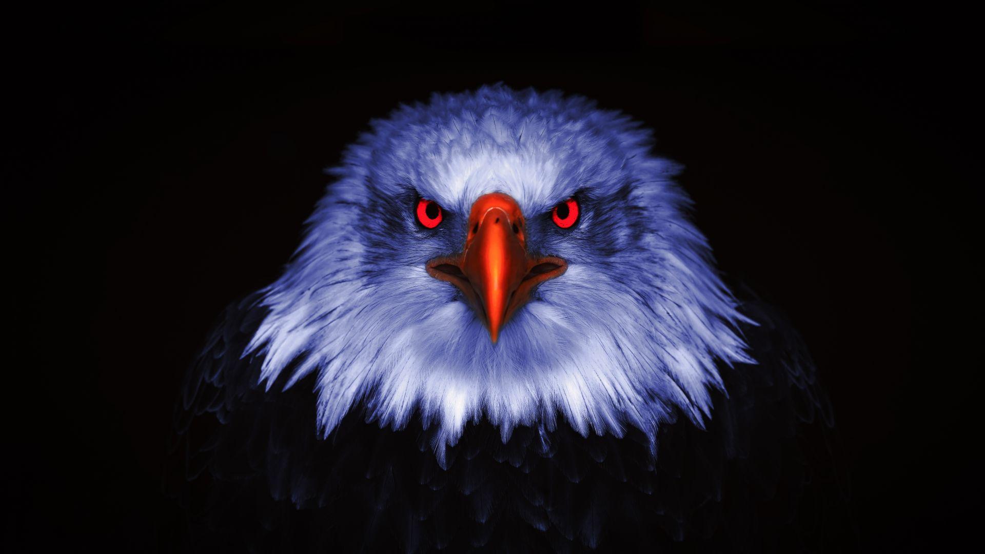 1920x1080 Desktop wallpaper eagle, raptor, red eyes, close up, HD image, picture, background, 56182a
