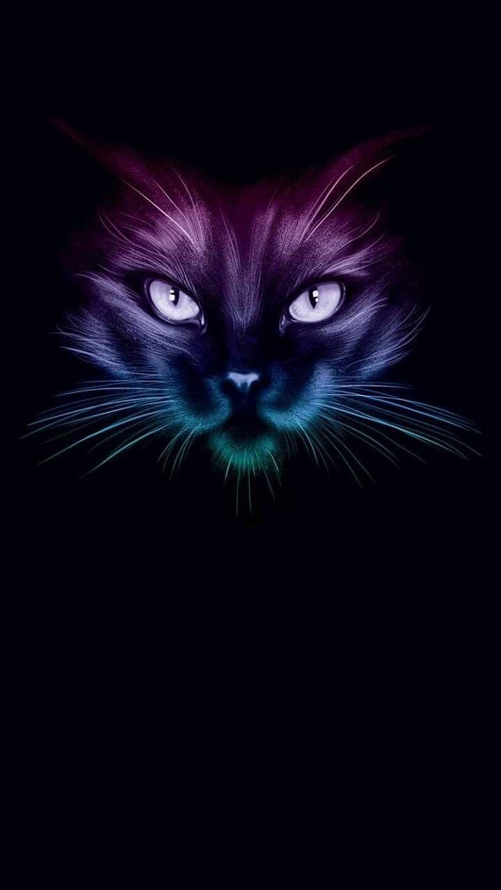 720x1279 Phone wallpaper. Black cat art, Neon cat, Cat colors
