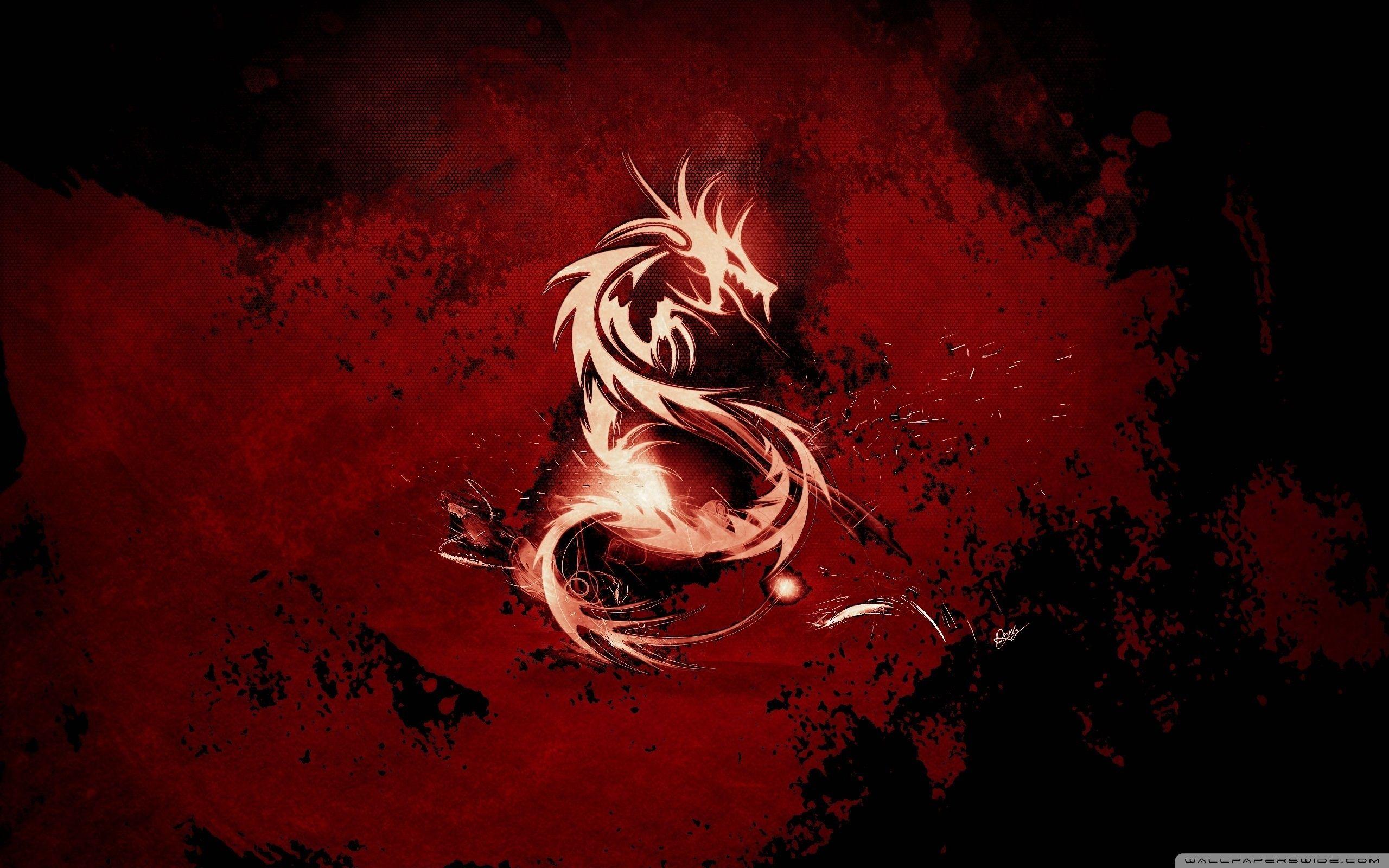 2560x1600 Dragon Symbol Ultra HD Desktop Background Wallpaper for 4K UHD TV : Multi Display, Dual Monitor : Tablet