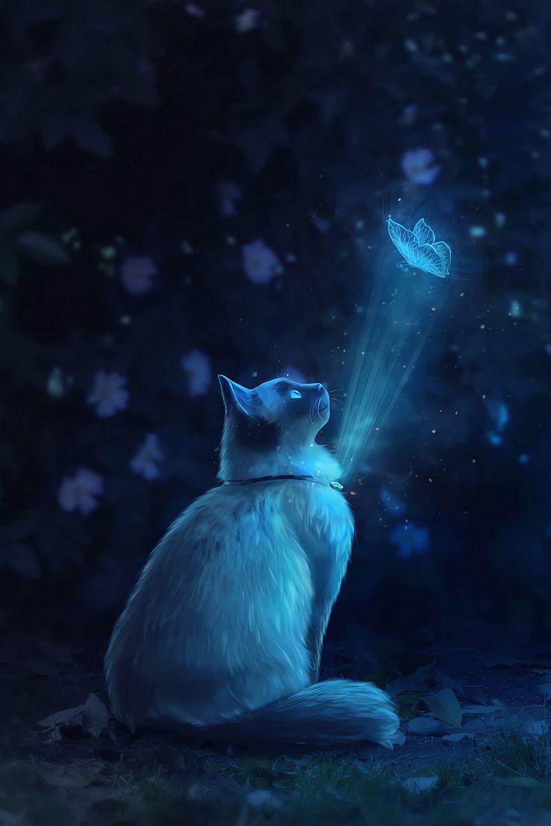 800x1200 Download Wallpaper 800x1200 Cat, Butterfly, Illusion, Light, Art Iphone 4s 4 For Parallax HD Background