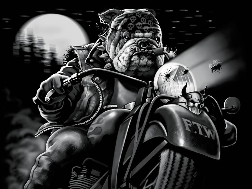 1024x768 Outlaw Biker Wallpaper
