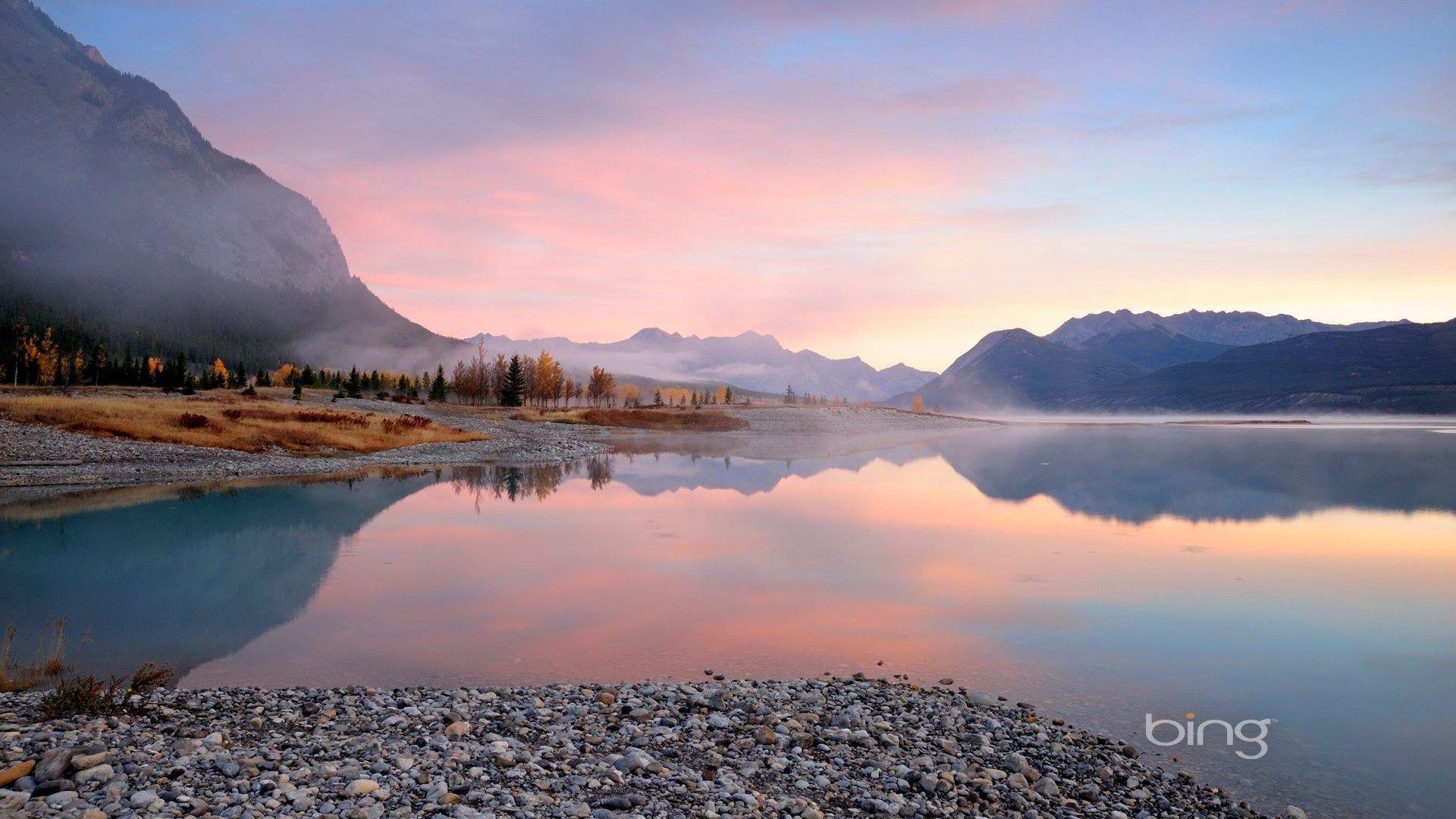 1920x1080 Wide wallpaper: Tibet Vintage Nature Picture. Flowers