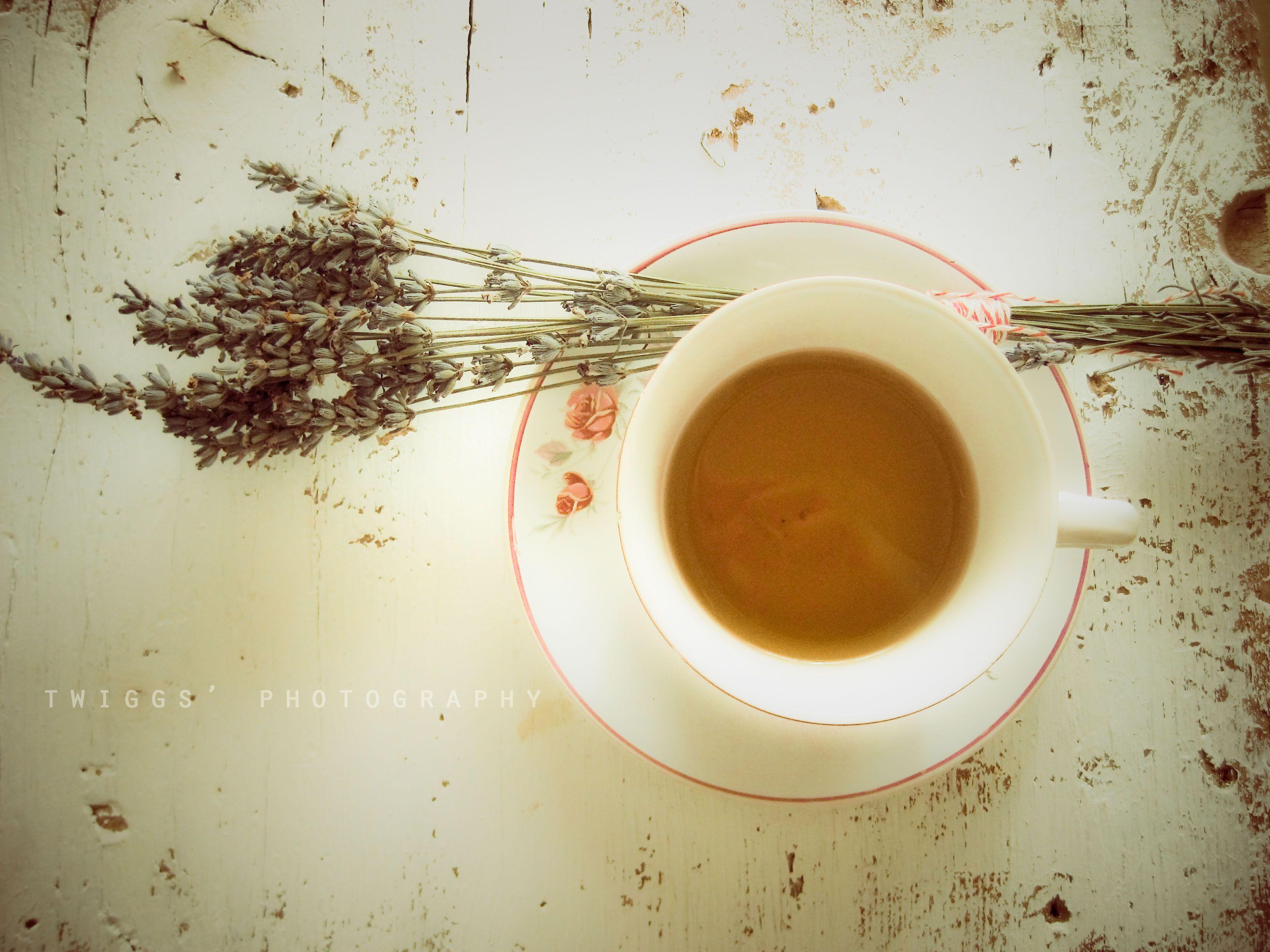 3264x2448 Free download Cup of Tea Wallpaper Freetopwallpapercom [3264x2448] for your Desktop, Mobile & Tablet. Explore Teacup Wallpaper. Teacup Puppies Wallpaper, Teacup Yorkie Wallpaper, Teacup Wallpaper Borders
