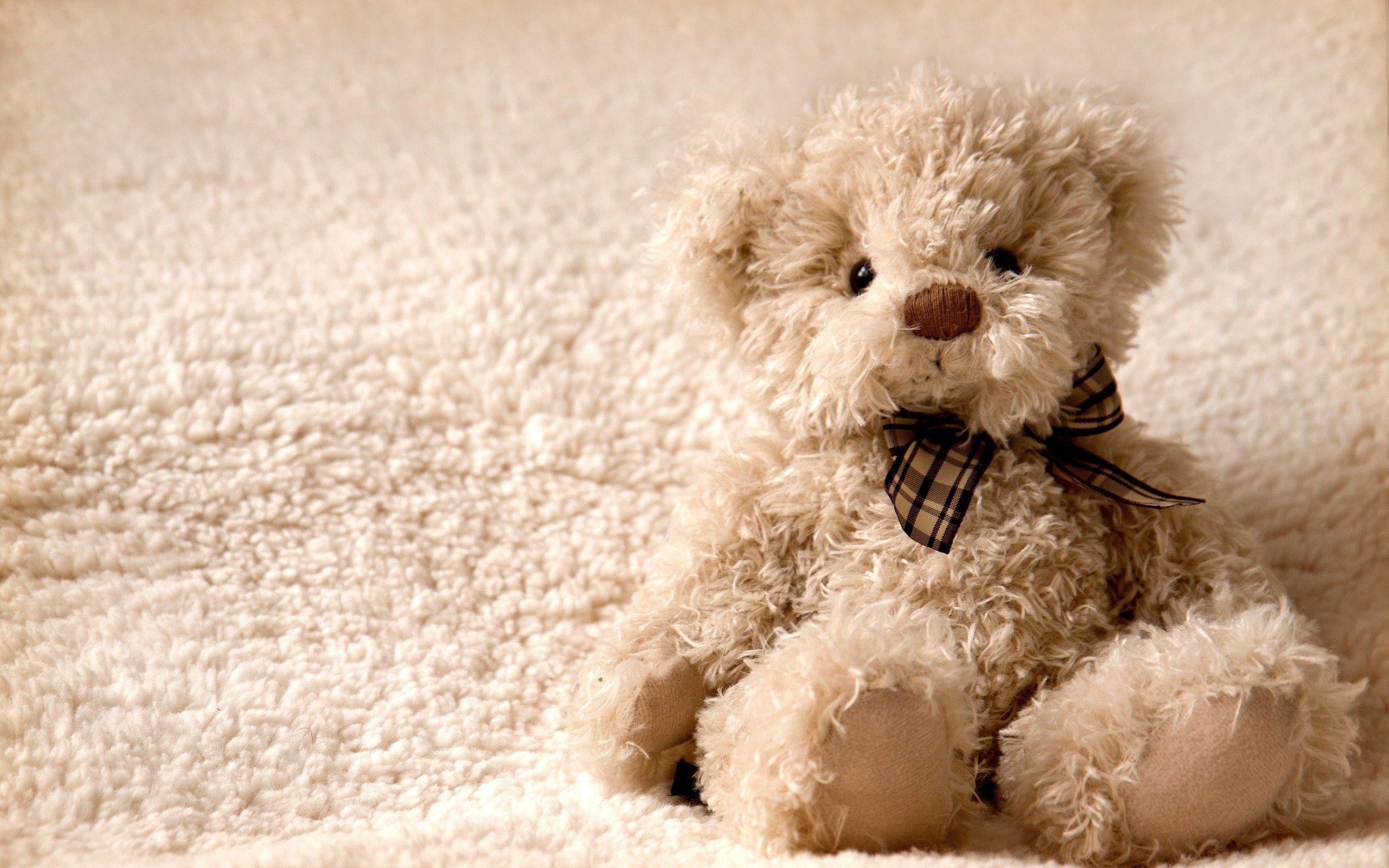 2560x1600 Cute Teddy Bear wallpaperx1600