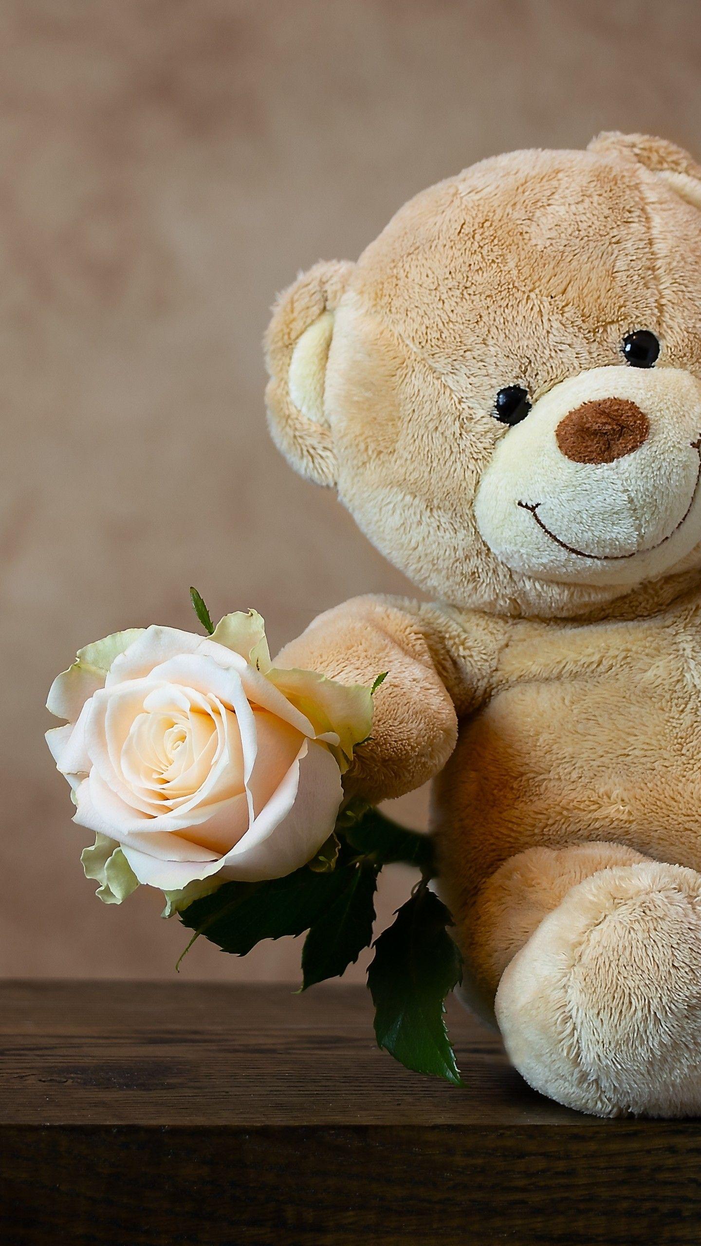 1440x2560 Teddy bear 4K Wallpaper, Rose, Cute toy, Gift, Valentine's Day, 5K, Cute