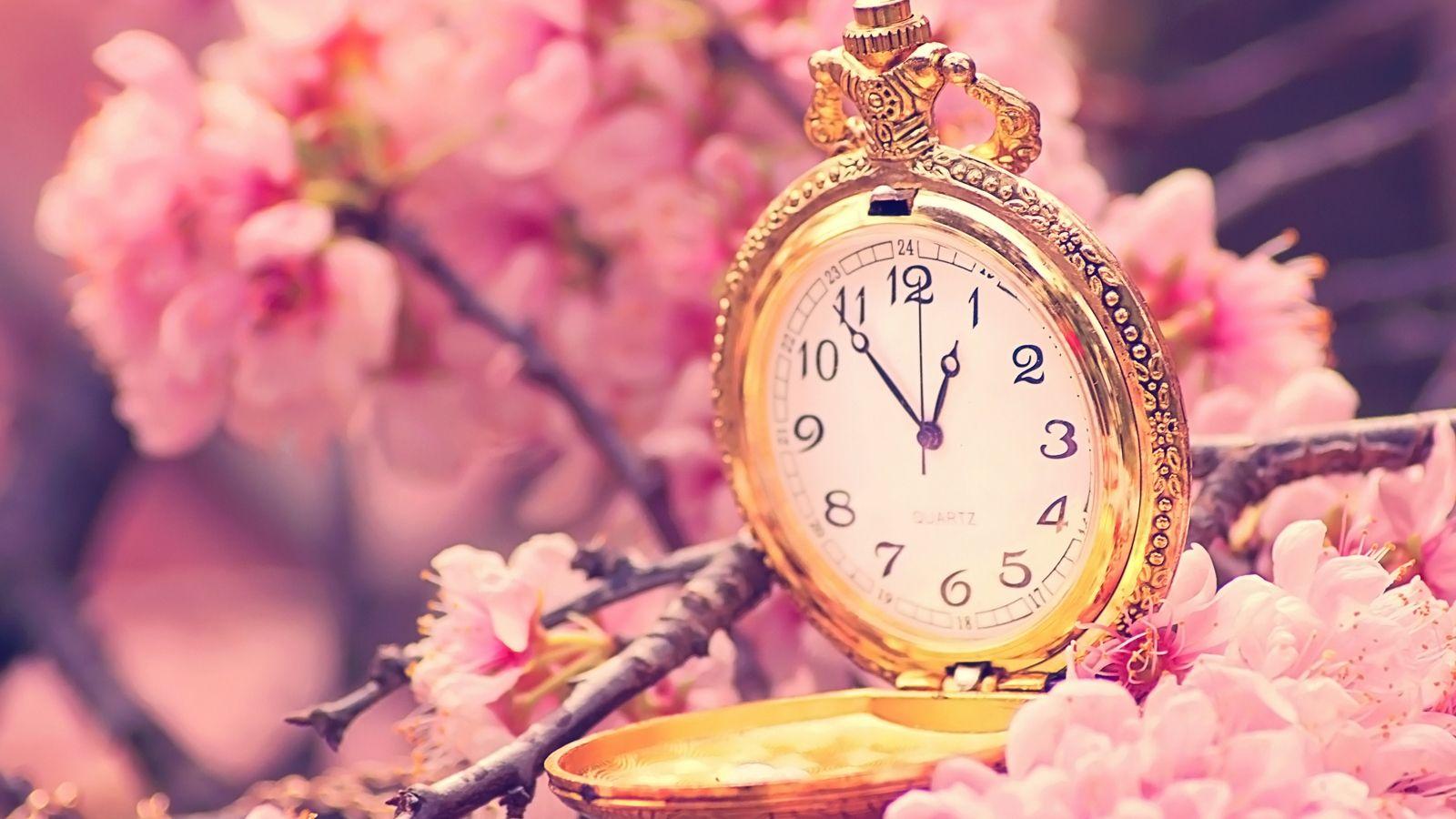 1600x900 Free download Flower Wallpaper For You Japanese Cherry Blossoms Wallpaper [1600x1200] for your Desktop, Mobile & Tablet. Explore Japanese Cherry Blossom Wallpaper. Cherry Blossom Wallpaper for Walls, Free Cherry