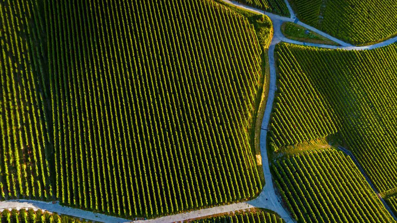 1366x768 Bing™ Wallpaper Gallery