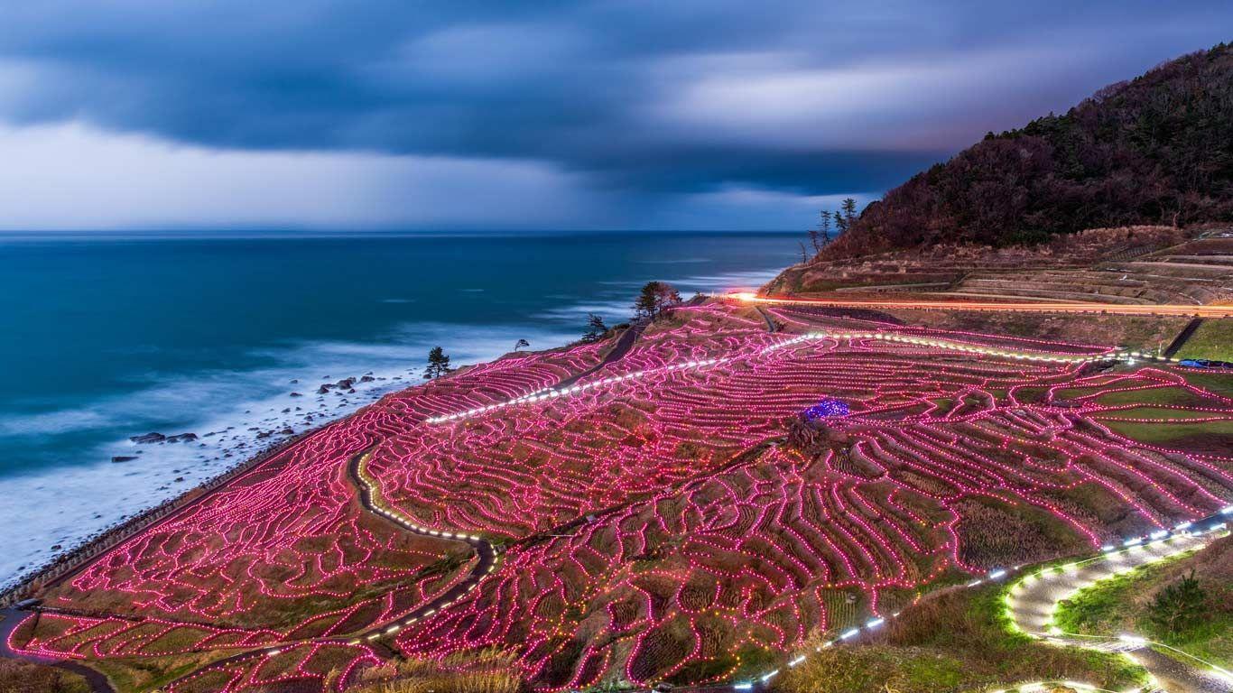1366x768 Bing Image Archive: 灯光装点的水稻梯田，日本轮岛© Sean Pavone Alamy