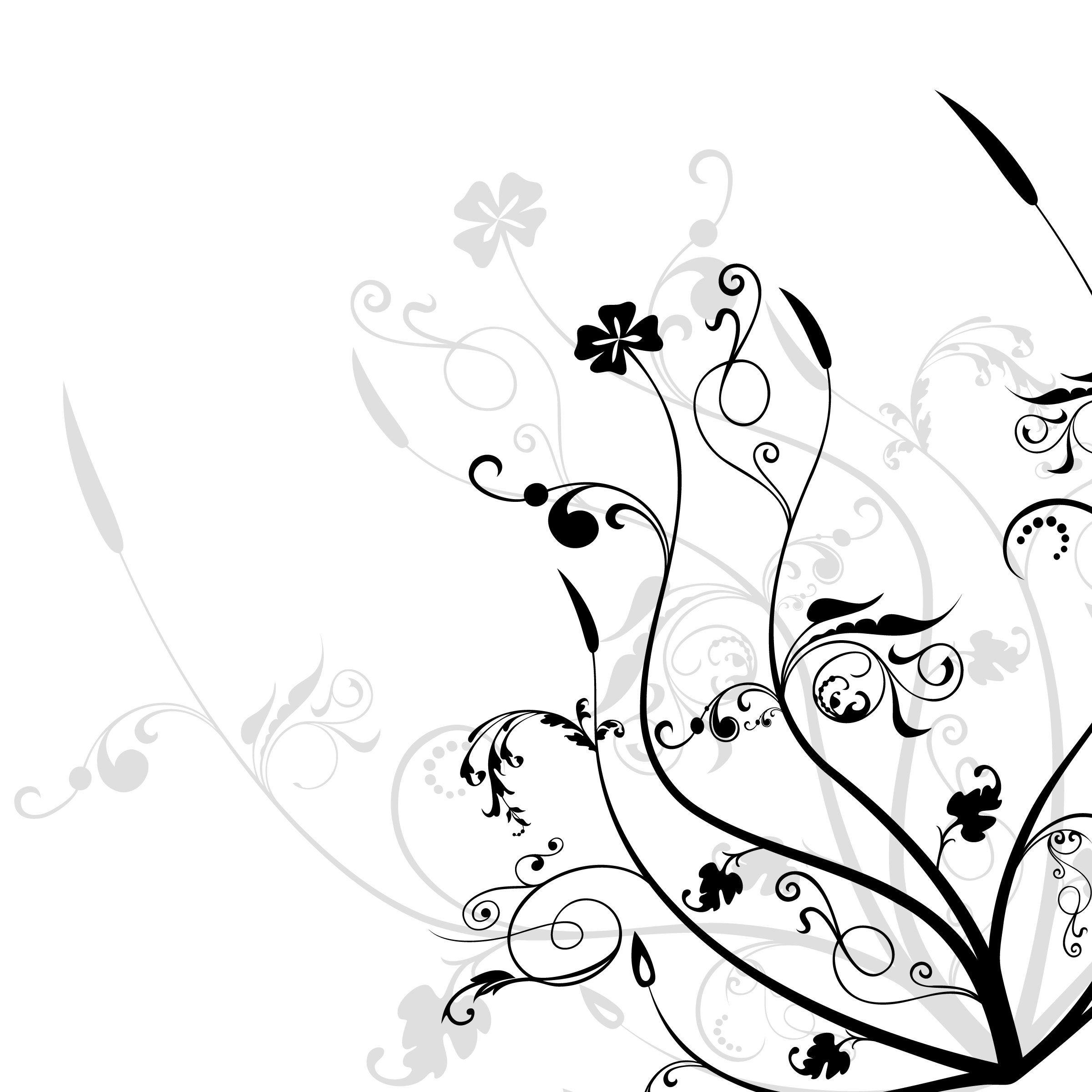2400x2400 Black and white flowers wallpaper HD
