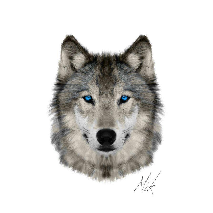 894x893 Wolf tattoo blue eyes. Tatouage loup, Animaux, Petit tatouage