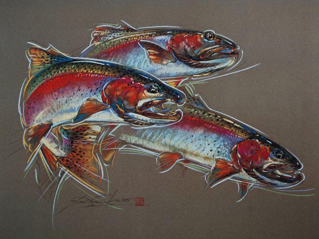 1024x768 Rainbow Trout