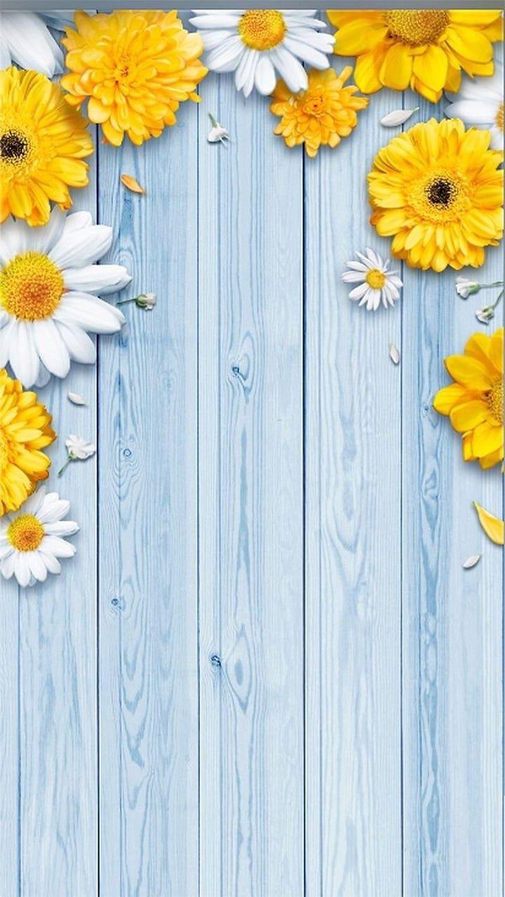 720x1280 Pinterest // carriefiter // 90s fashion street wear street style photography style hipster vinta. Flower wallpaper, Spring wallpaper, Flower background wallpaper