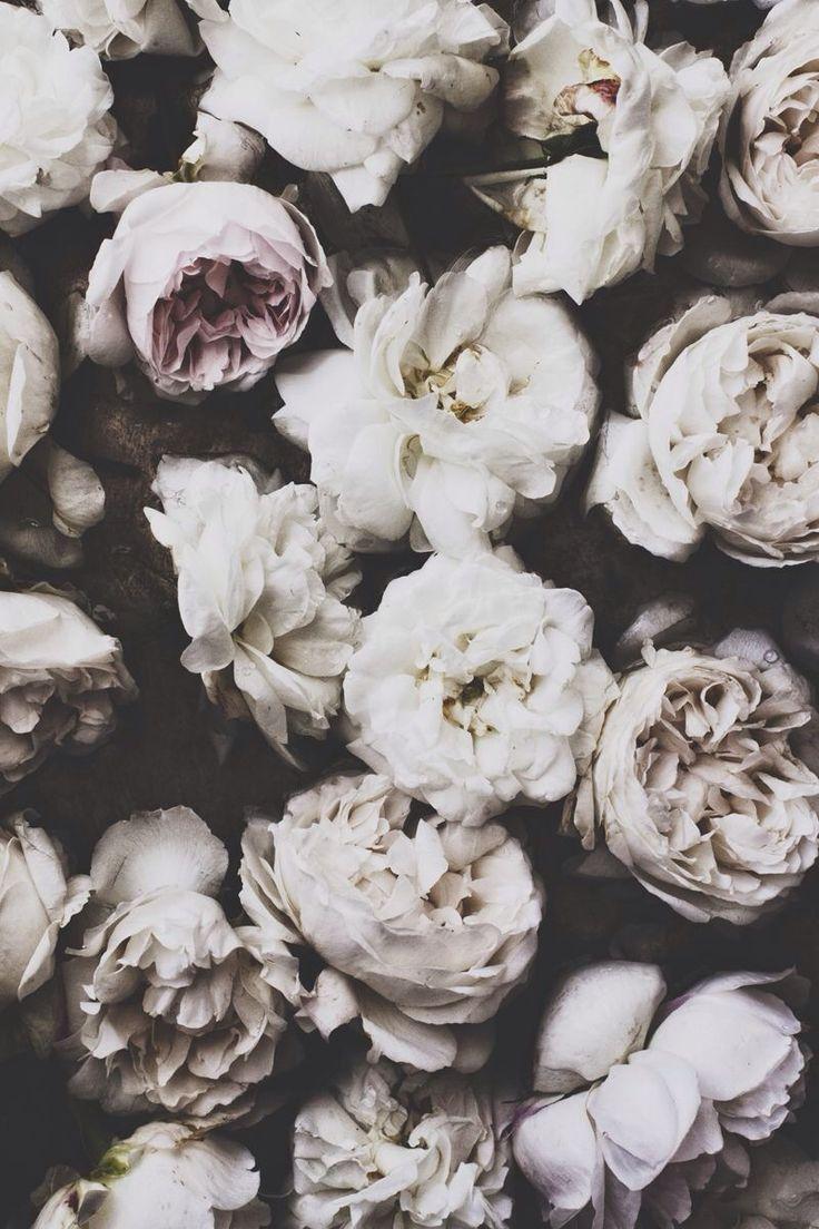 736x1104 iPhone 6 Wallpaper Tumblr Hipster