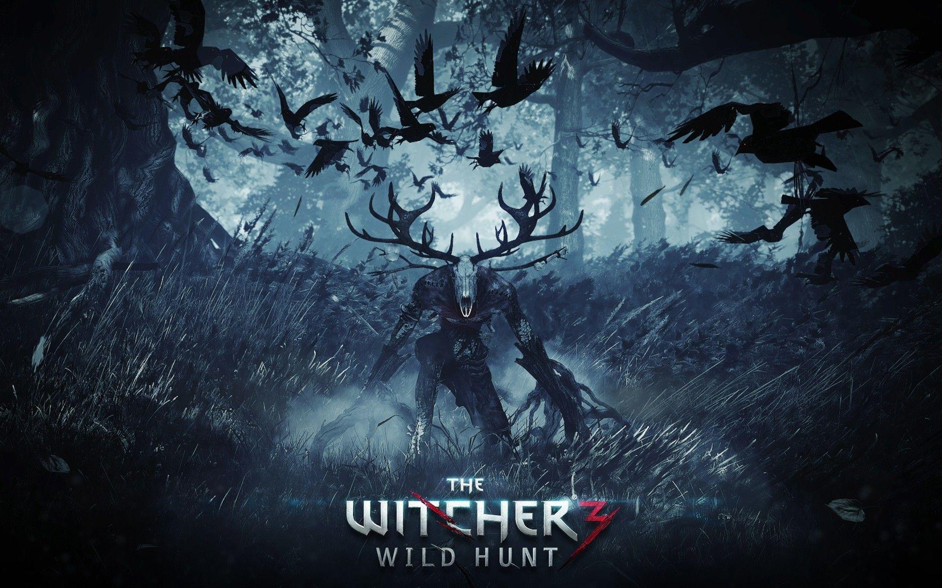1920x1200 The Witcher 3 Wild Hunt Wallpaper 47267 1920x1200 px
