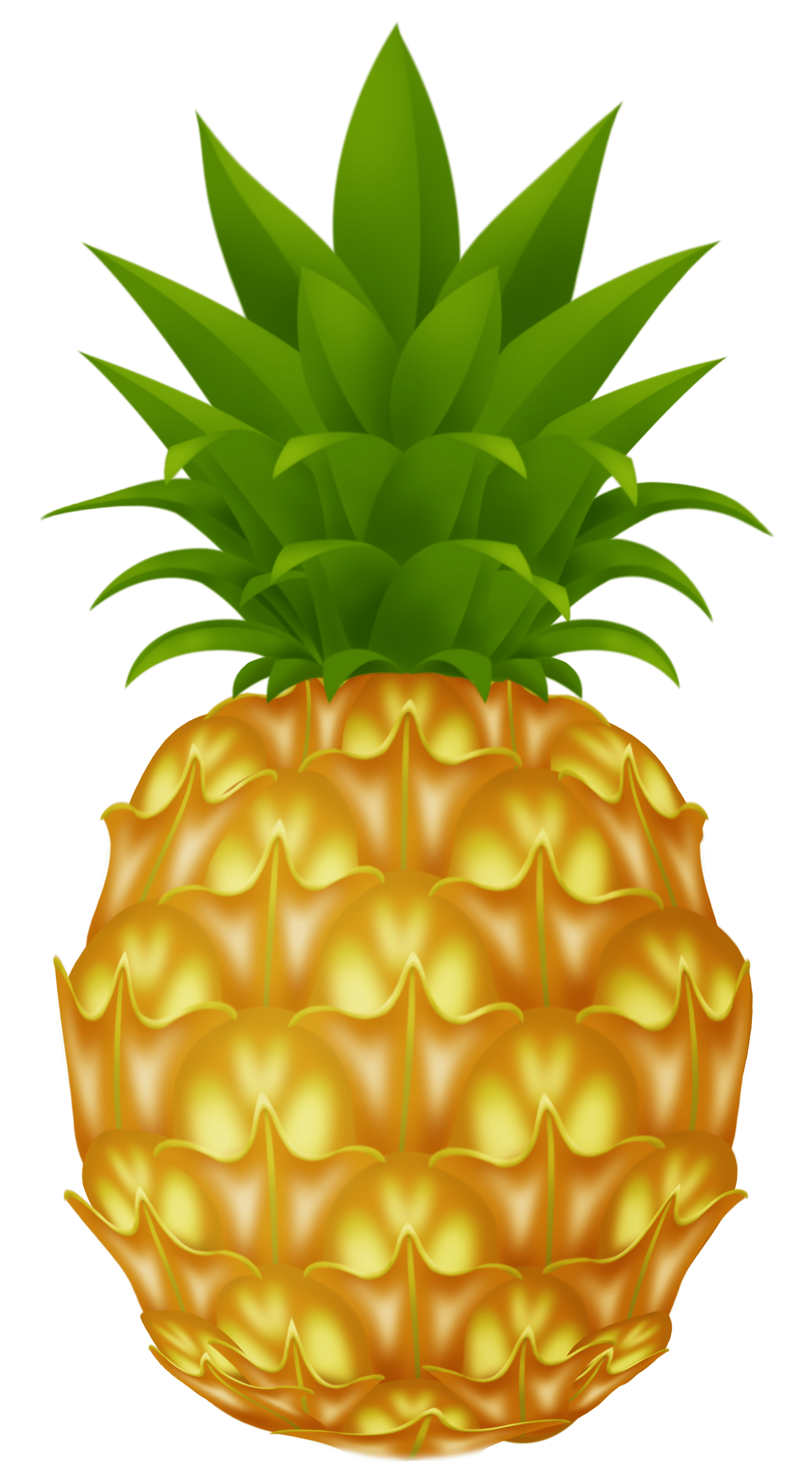 1919x3495 Free Pineapple Transparent Background, Download Free Clip Art, Free Clip Art on Clipart Library