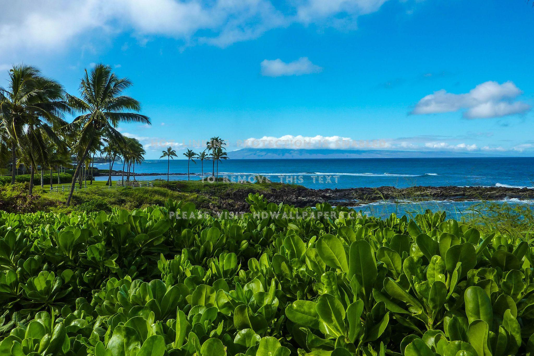 2048x1367 Kapalua Coastal Trail Maui Hawaii Beach And