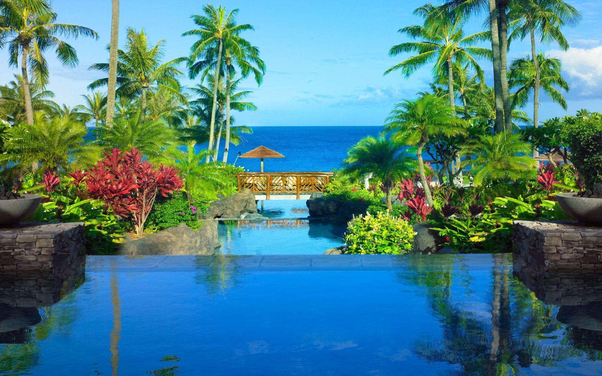 1920x1200 Luxury Hotel in Maui. Montage Kapalua Bay. Hawaii Resort. Montage kapalua bay, Maui hotels, Hawaii resorts