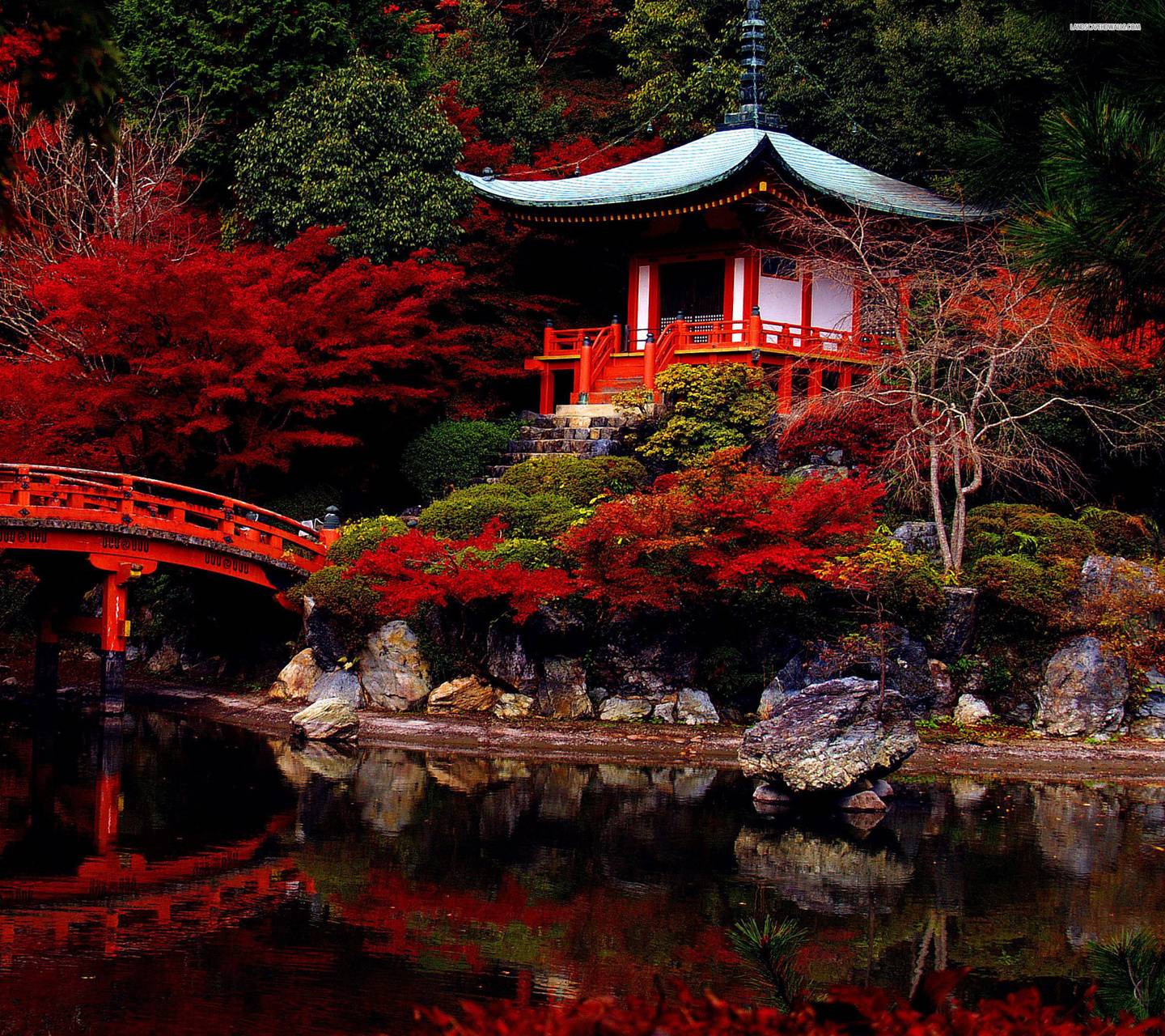 1440x1280 Japanese Garden wallpaper