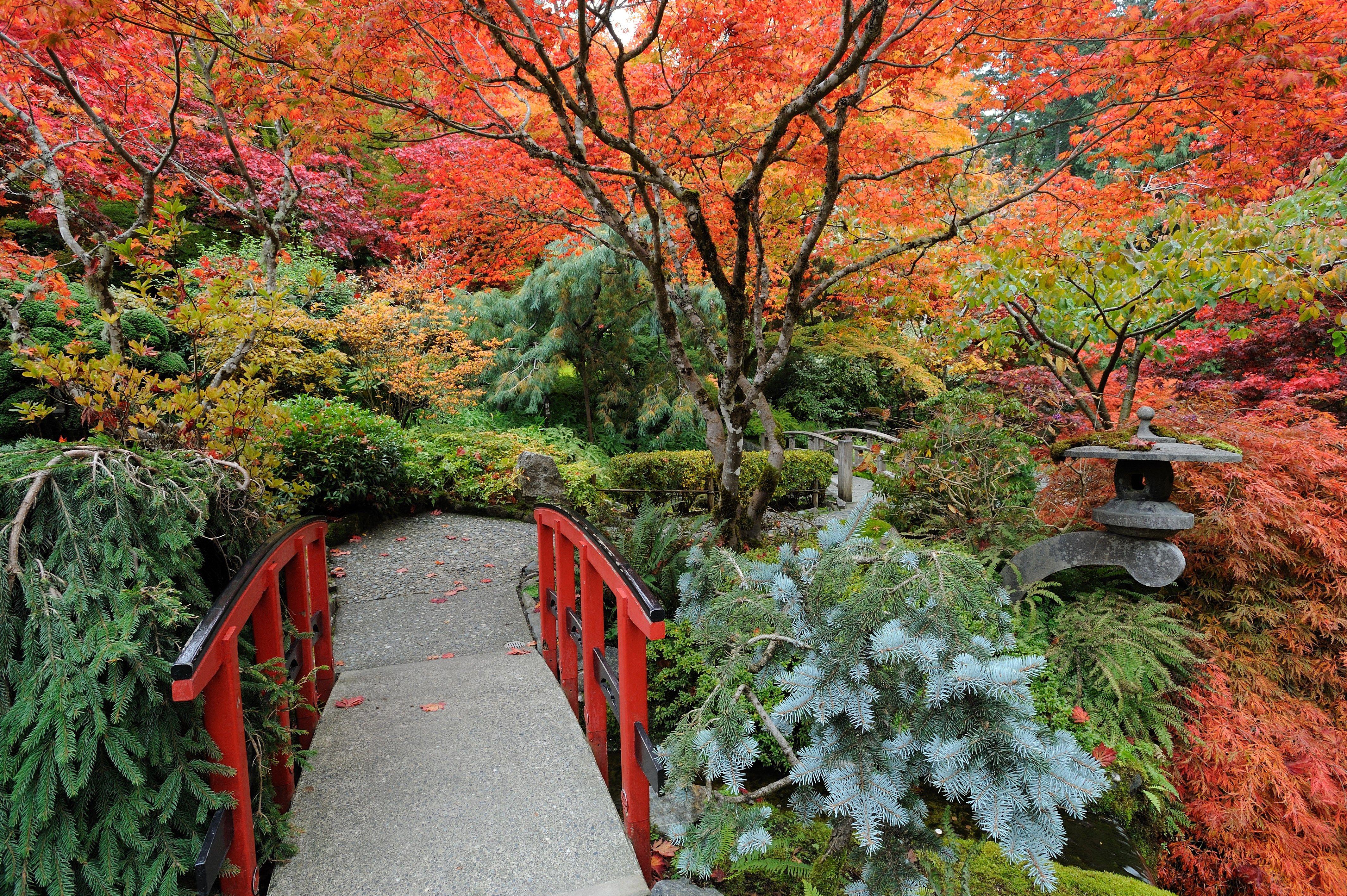 4256x2832 4256x2832 high resolution wallpaper widescreen japanese garden. Mocah.org HD Desktop Wallpaper