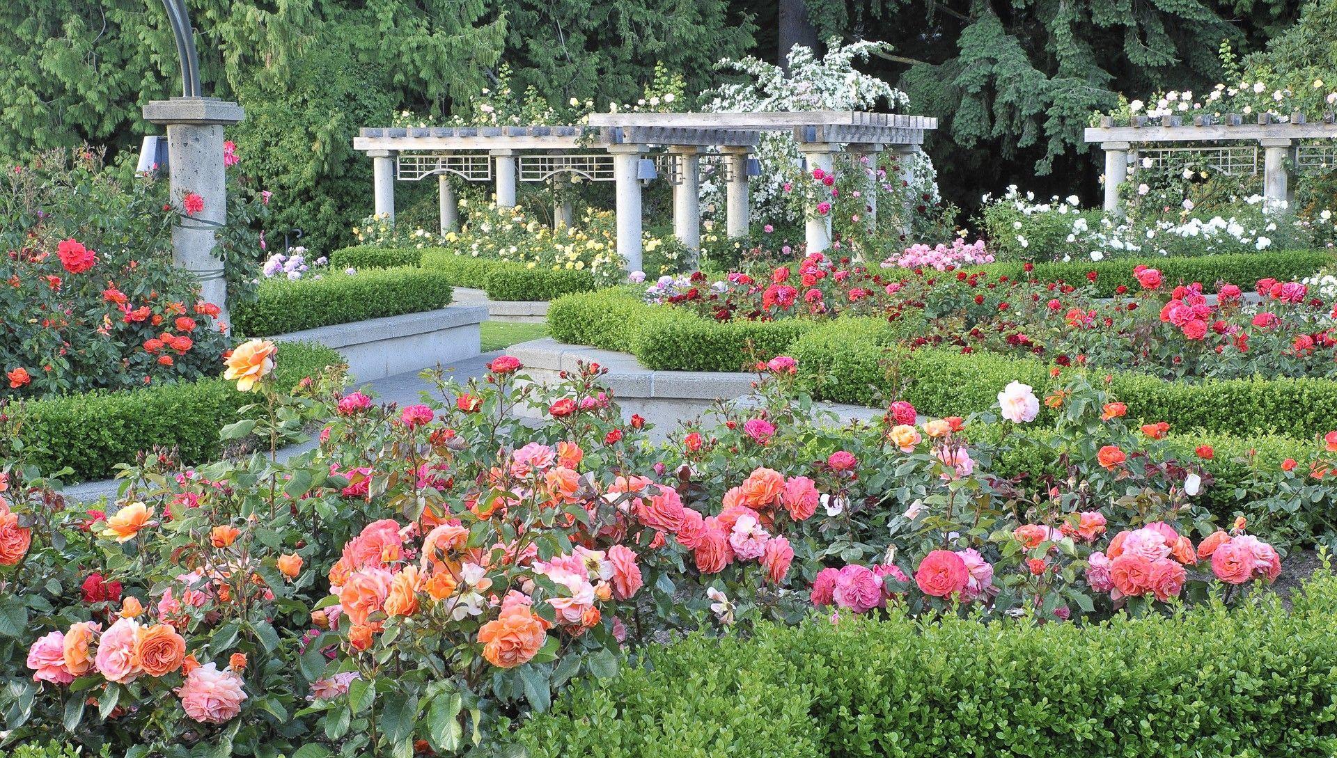 1920x1089 gardening: Download Garden Vancouver Wallpaper 1920x1089