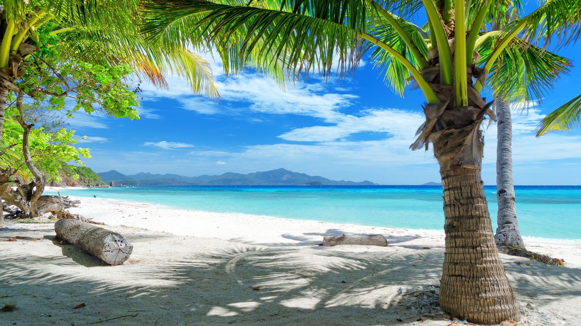 1920x1080 Tropical wallpaperx1080