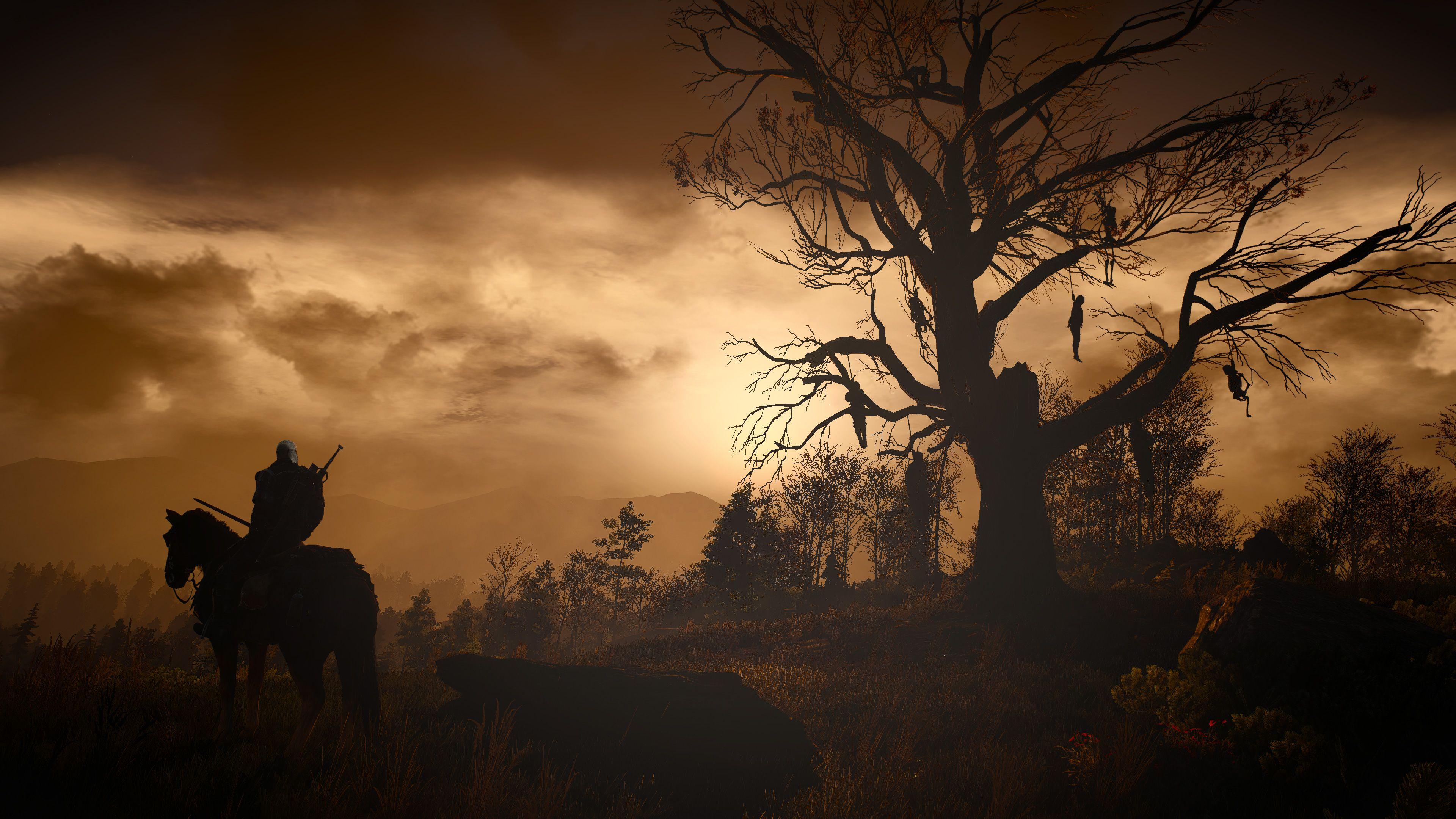 3840x2160 Artwork The Witcher 3 Wild Hunt, HD Games, 4k Wallpaper, Image