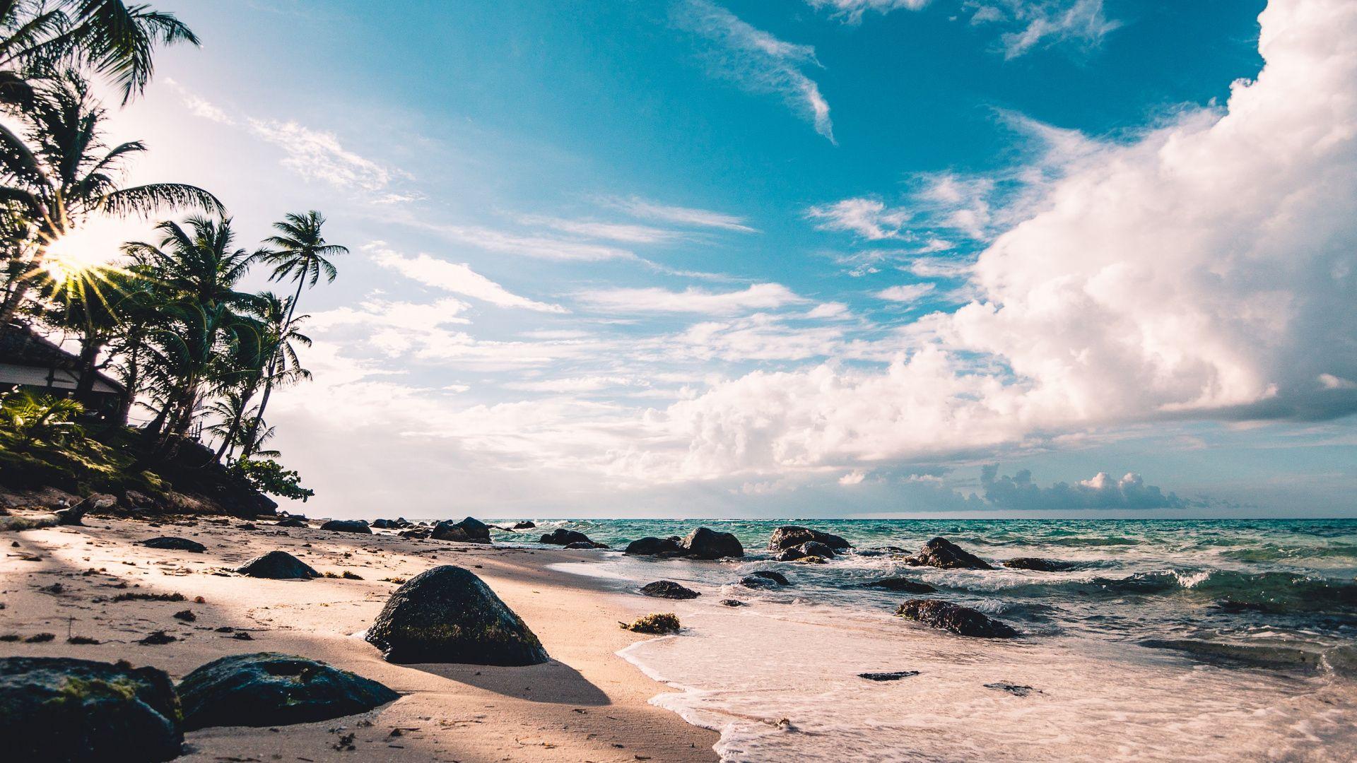 1920x1080 Download Sunny day, coast, beach, sea, tropical wallpaper, 1920x Full HD, HDTV, FHD, 1080p