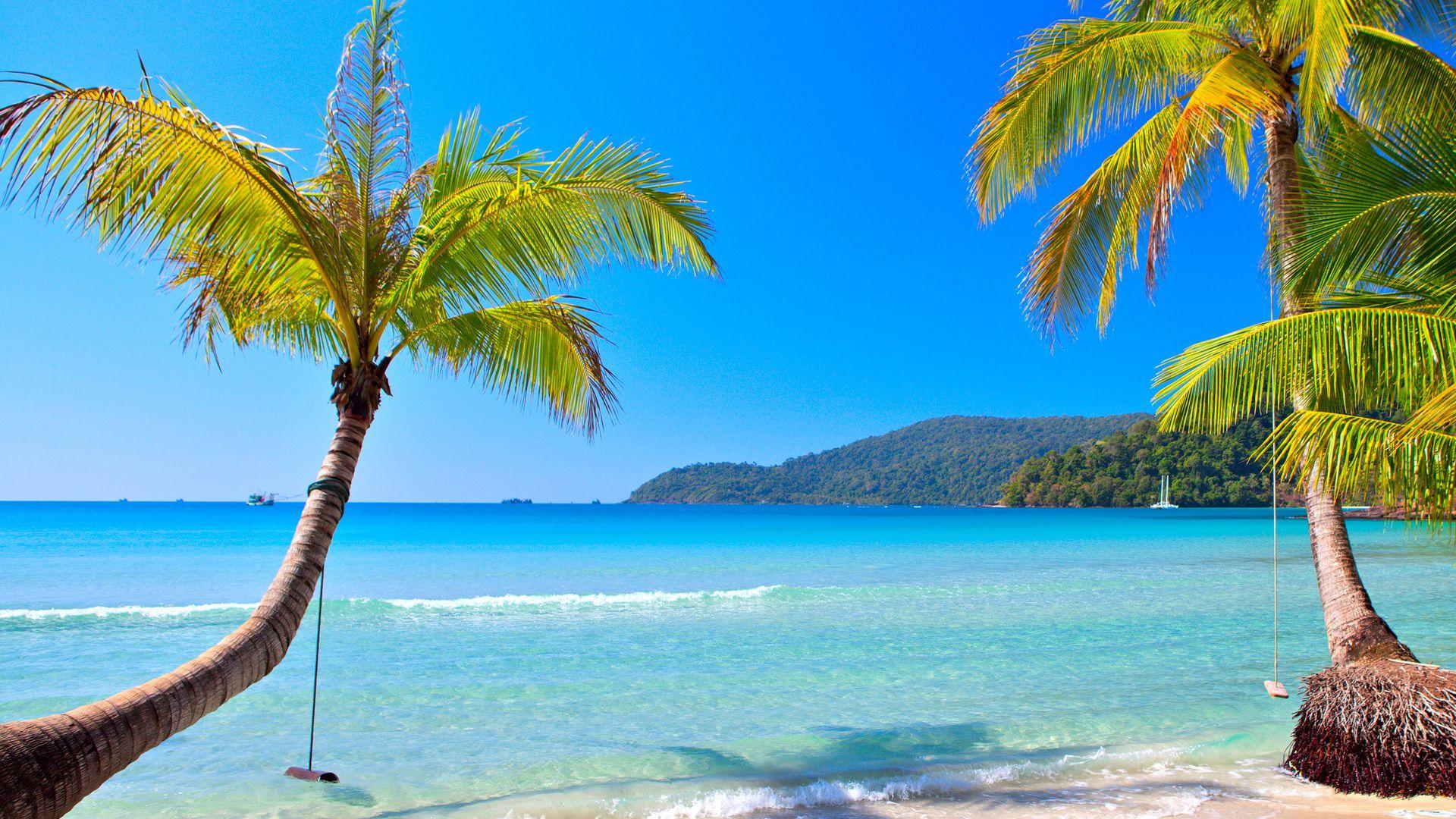 1920x1080 paradise, vacation, summer, ocean, tropical, beach, sea, coast, emerald, blue, palm, sand desktop wallpaper 7545