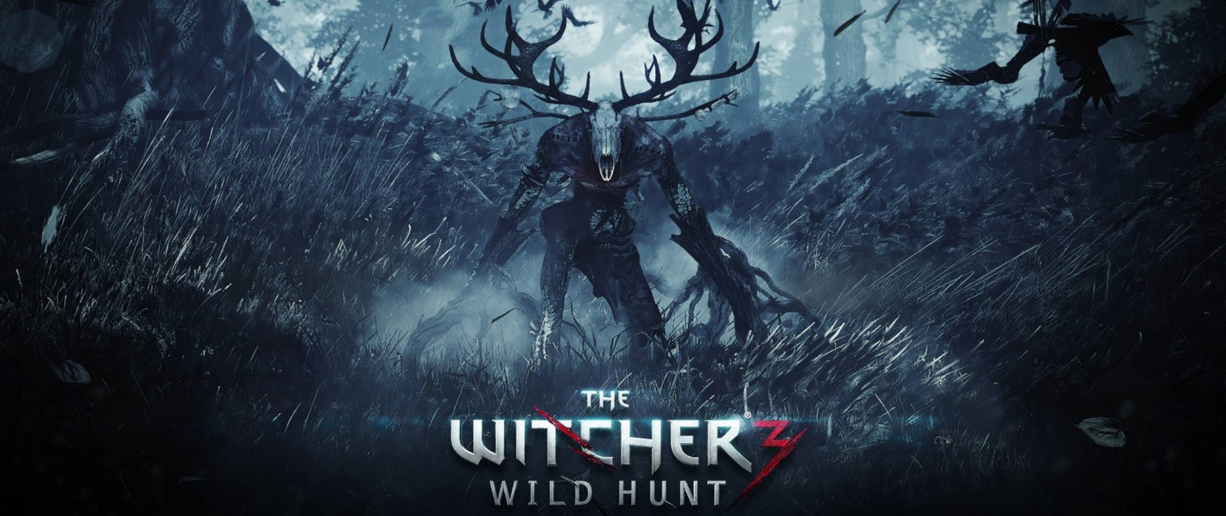2500x1054 Witcher 3 Wallpaper New