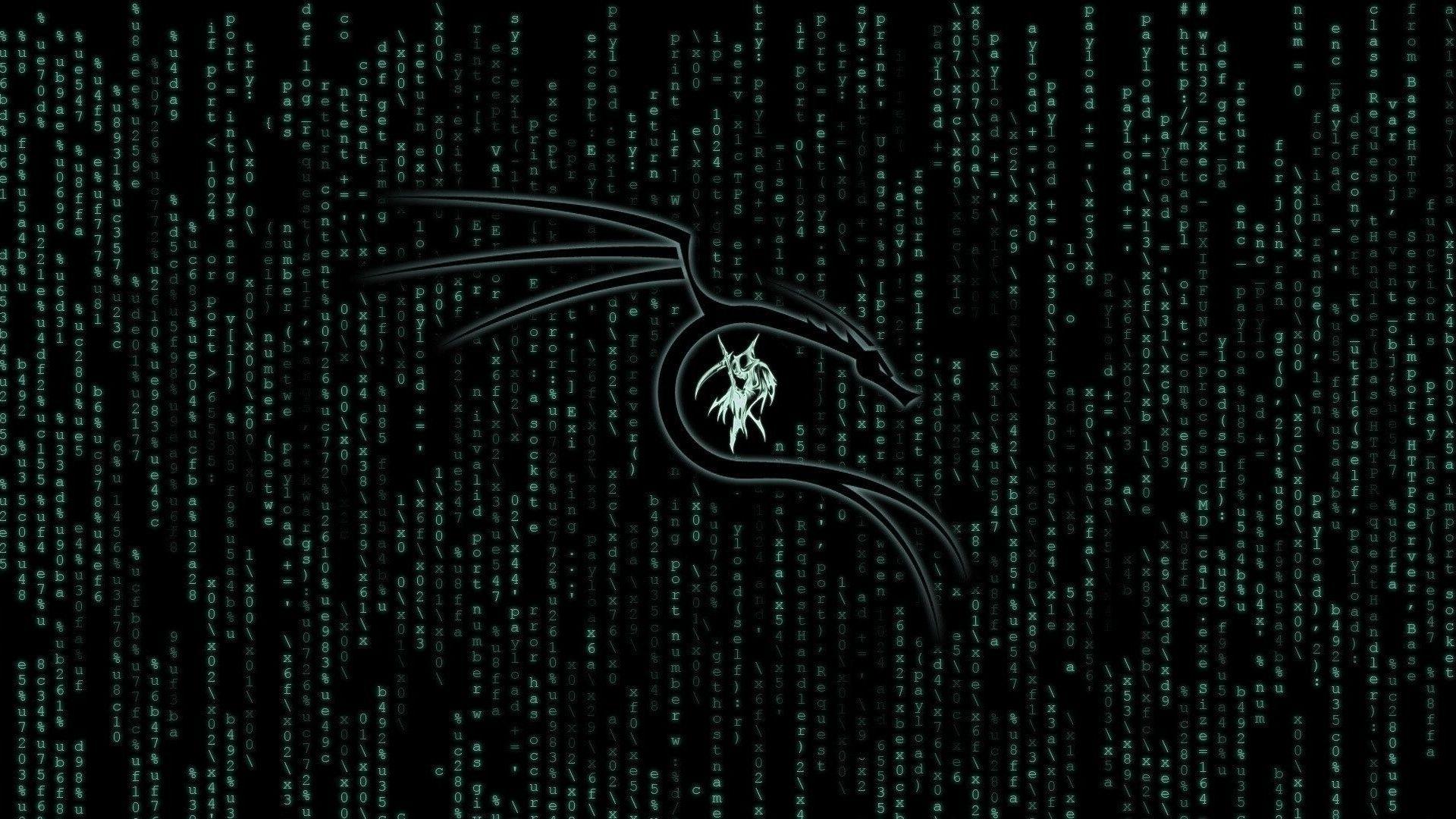 1920x1080 Kali Linux Matrix 1080P Laptop Full HD Wallpaper, HD Hi Tech 4K Wallpaper, Image, Photo And Background