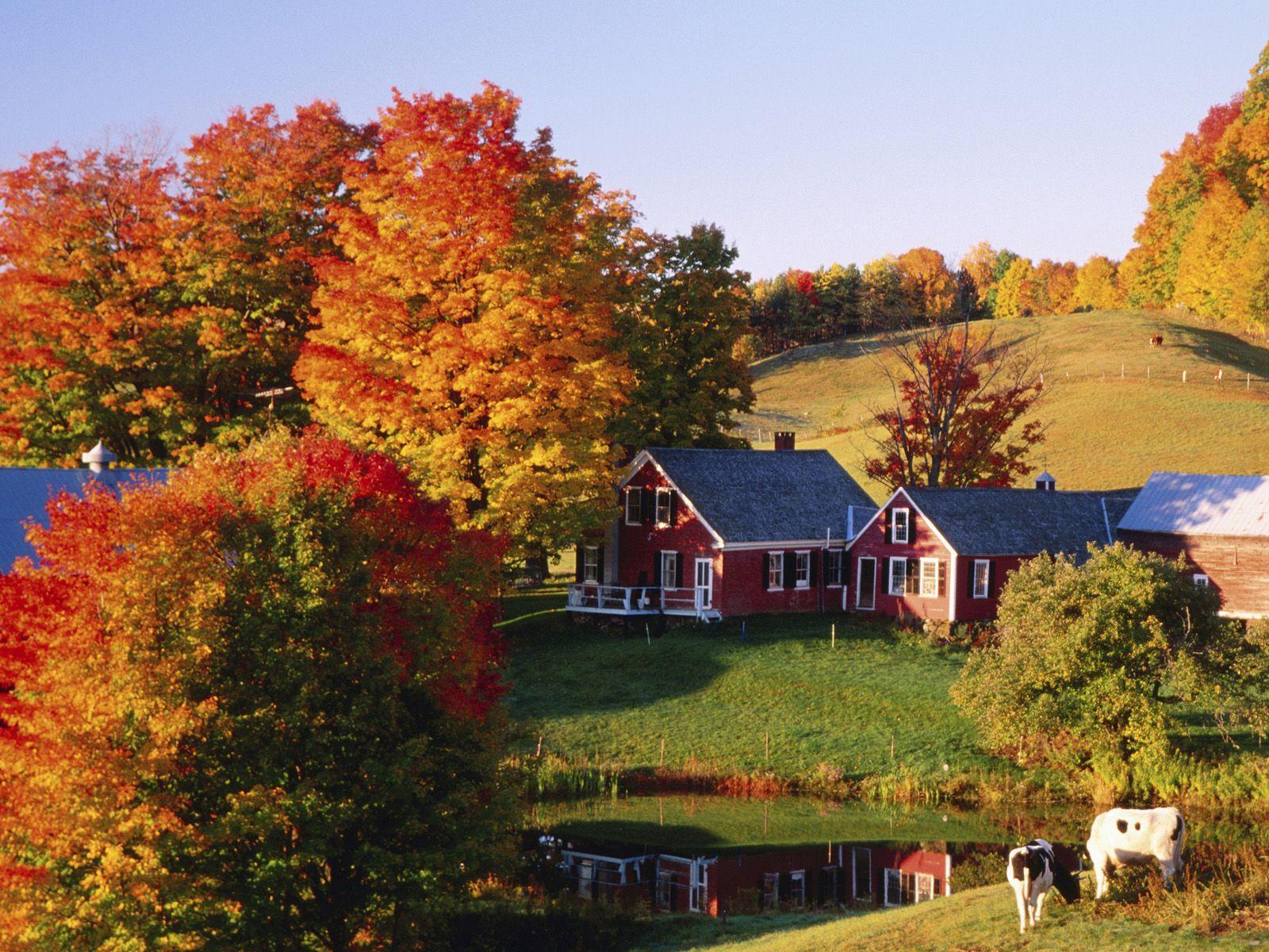 1600x1200 Things You'll Miss About Vermont
