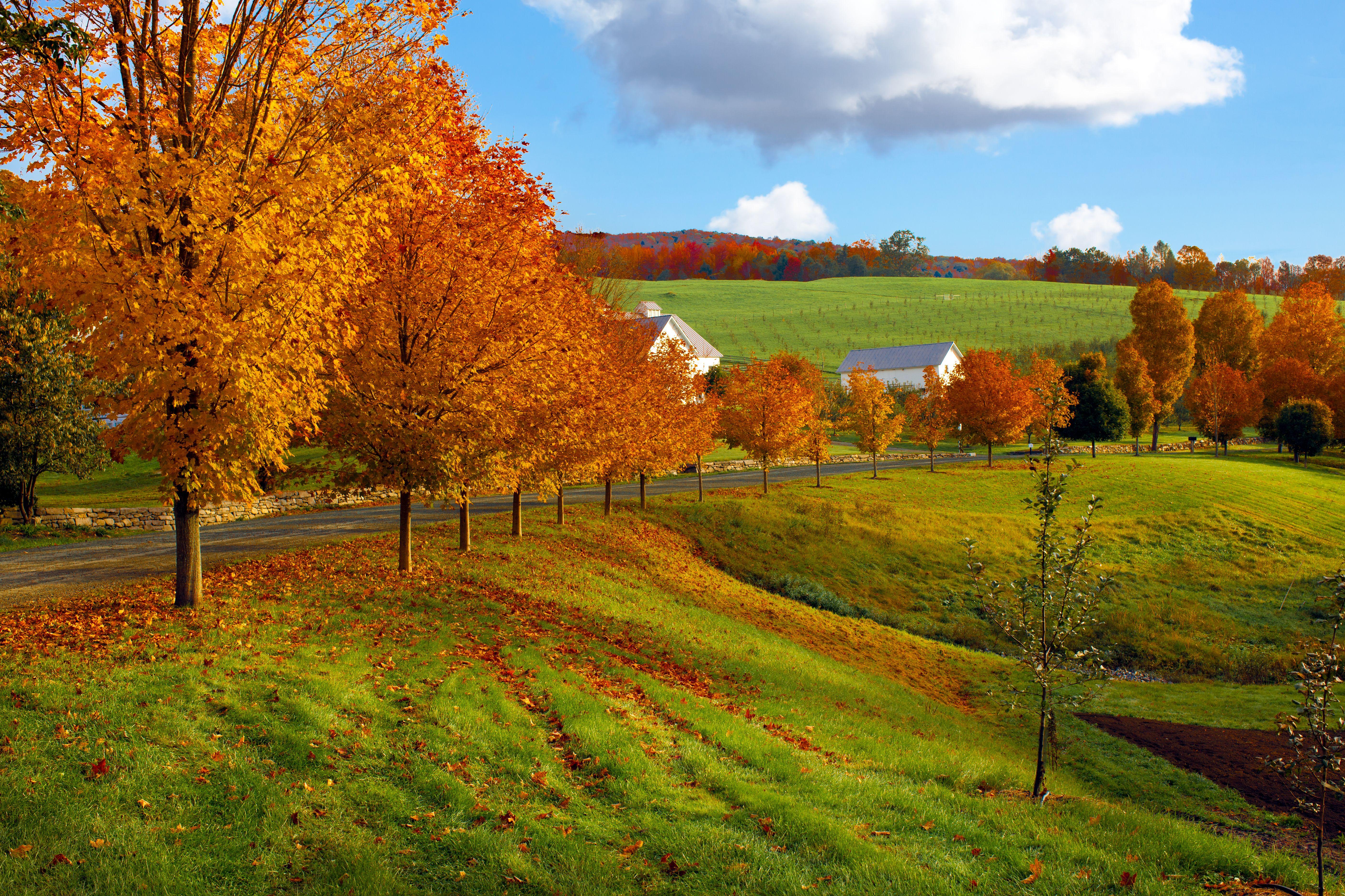 Vermont Fall Foliage Wallpapers Top Free Vermont Fall Foliage 