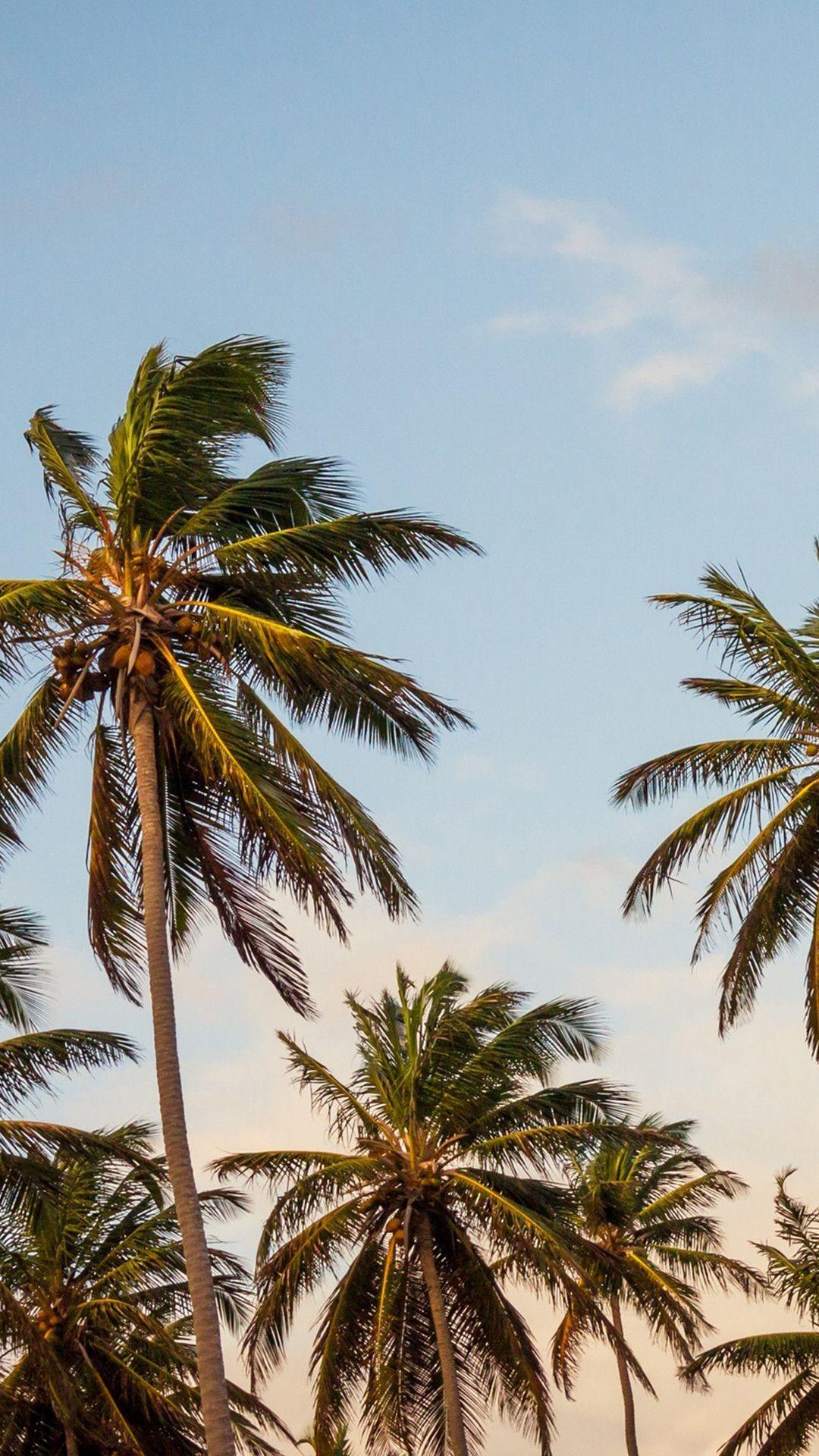 1080x1920 Florida Wallpaper