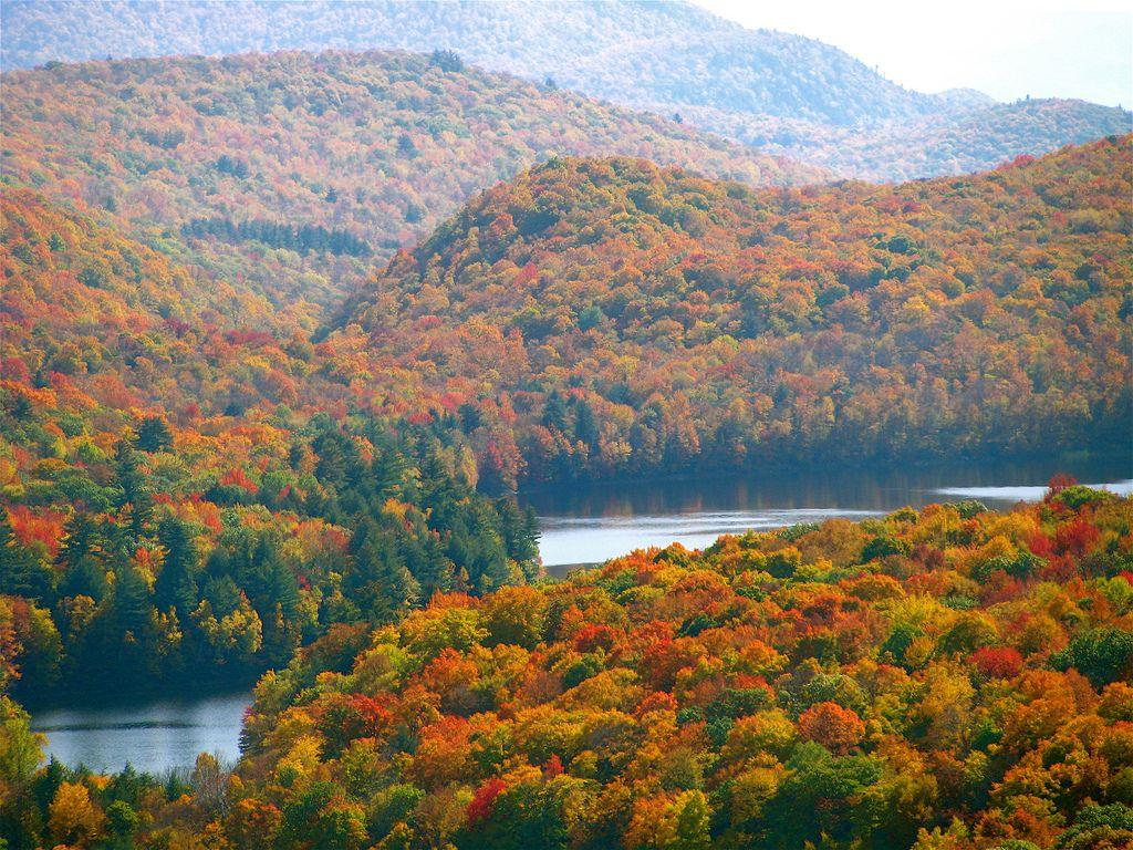1024x768 Silver Lake Foliage. Check out my photo on Flick