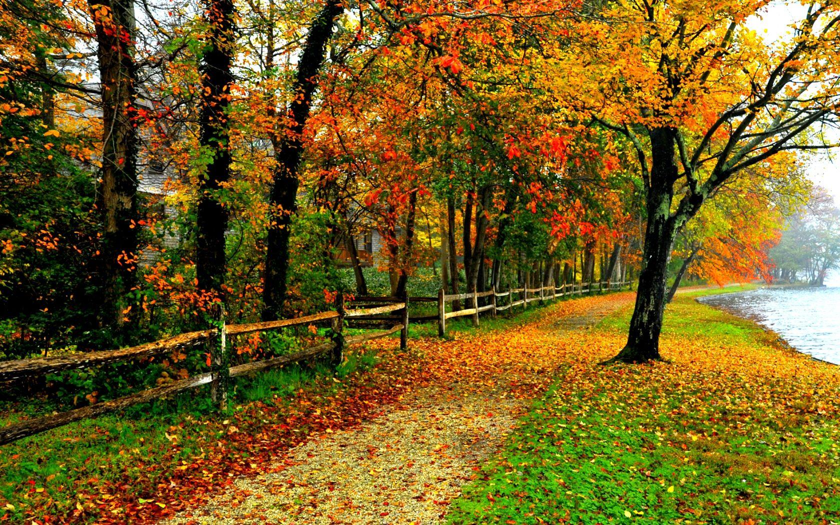 1680x1050 Free Desktop Wallpaper Fall Colors