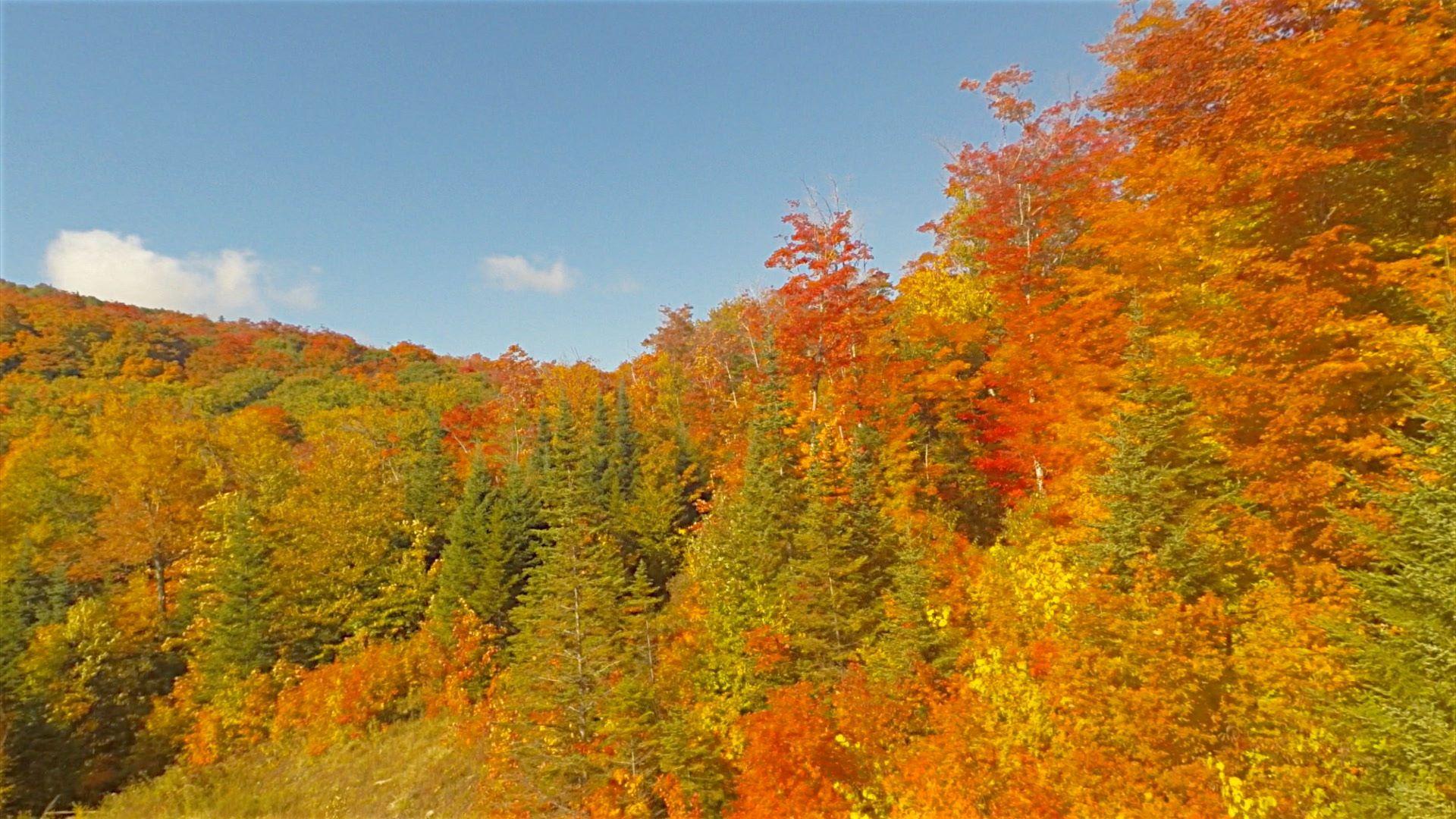 1920x1080 Stannard Mountain in the Fall, September 24th, and Lake Willoughby