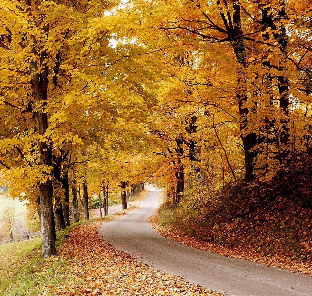 1000x948 Prettiest Fall Foliage Villages in Vermont England Today