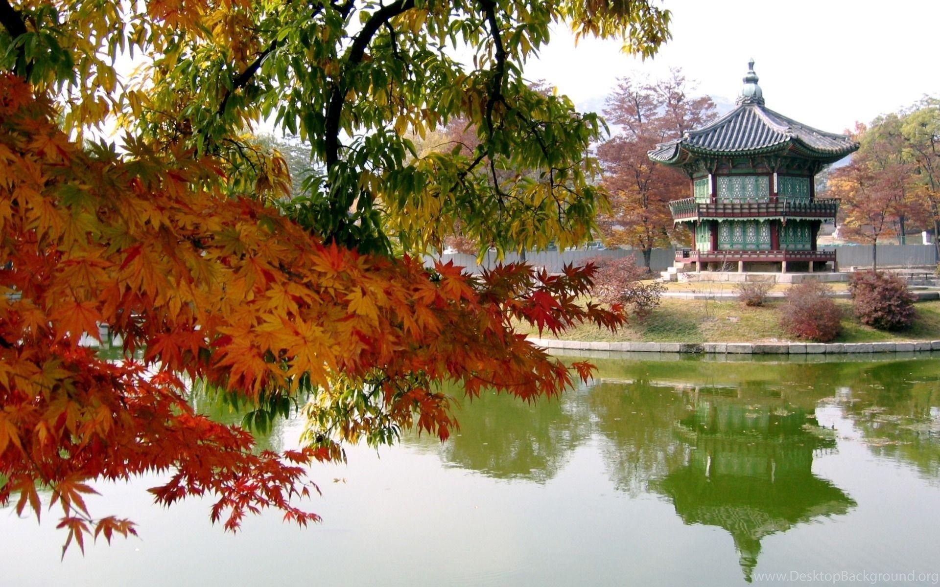 Korean Temple Wallpapers Top Free Korean Temple Backgrounds