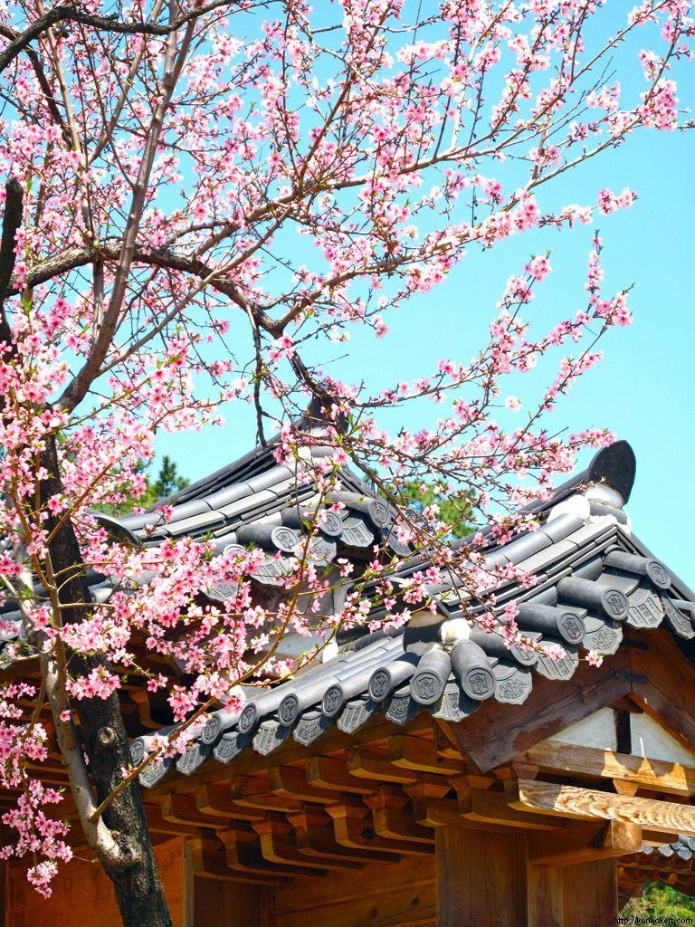 768x1024 for those who love South Korea. Countries of asia, City wallpaper, South korea