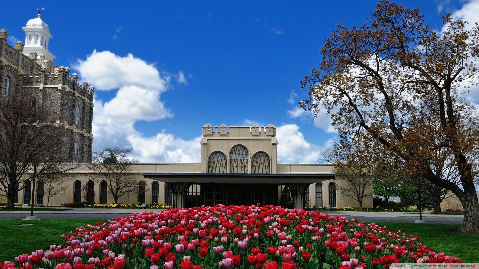 1920x1080 Download Logan Lds Temple Wallpaper 1920x1080