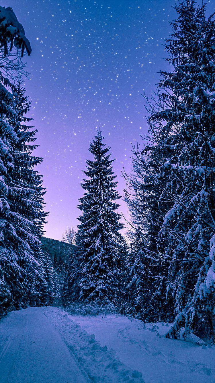 Winter Night Phone Wallpapers Top Free Winter Night Phone Backgrounds Wallpaperaccess