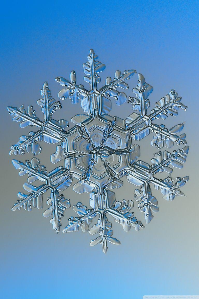 768x1152 Real Snowflake Under Microscope Ultra HD Desktop Background Wallpaper for 4K UHD TV : Widescreen & UltraWide Desktop & Laptop : Tablet